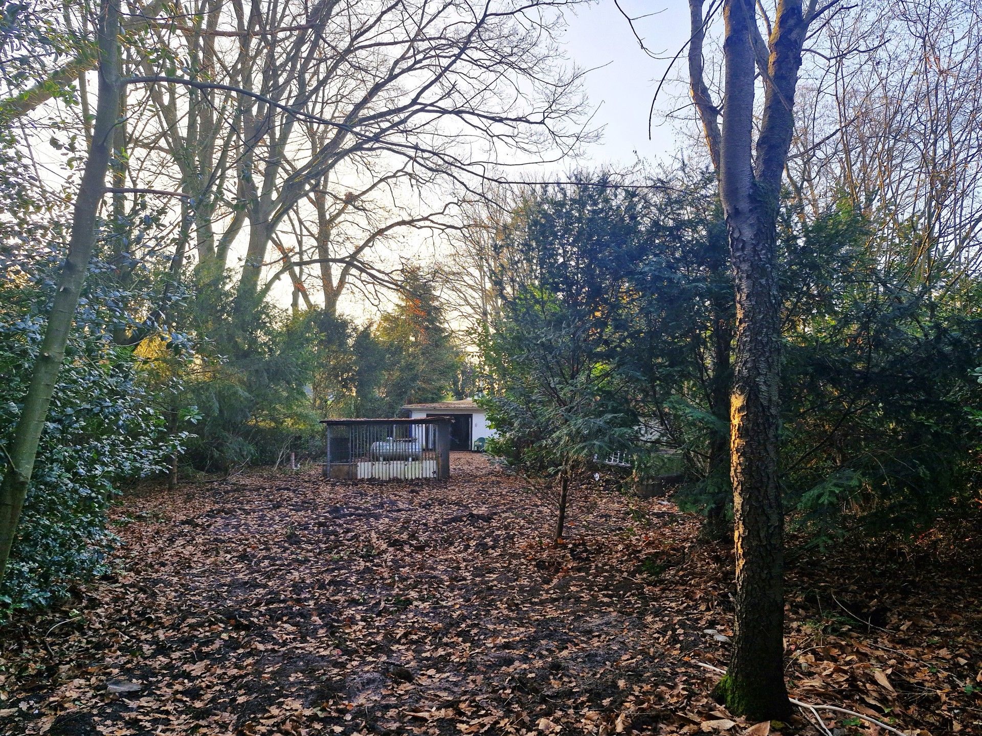 Grond te koop foto 13