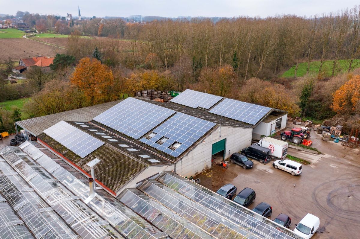 Groot serrebedrijf te koop te Lennik foto 7