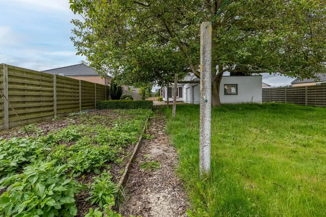 Gelijkvloers, toplocatie, prima indeling, label D, prachtige boom foto 15