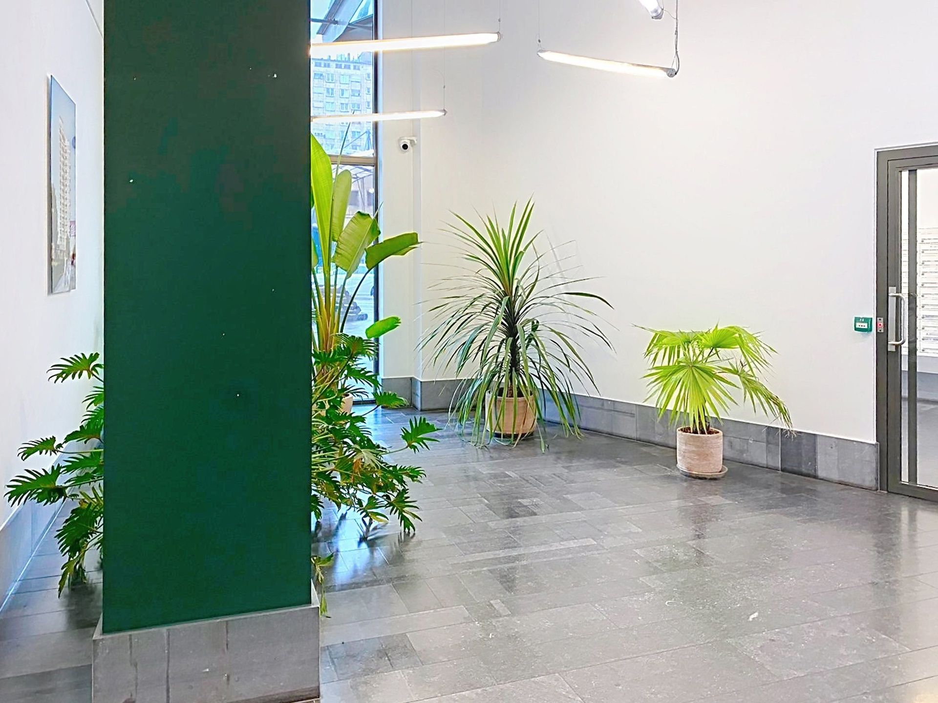 Perfect om te wonen of te investeren! foto 10