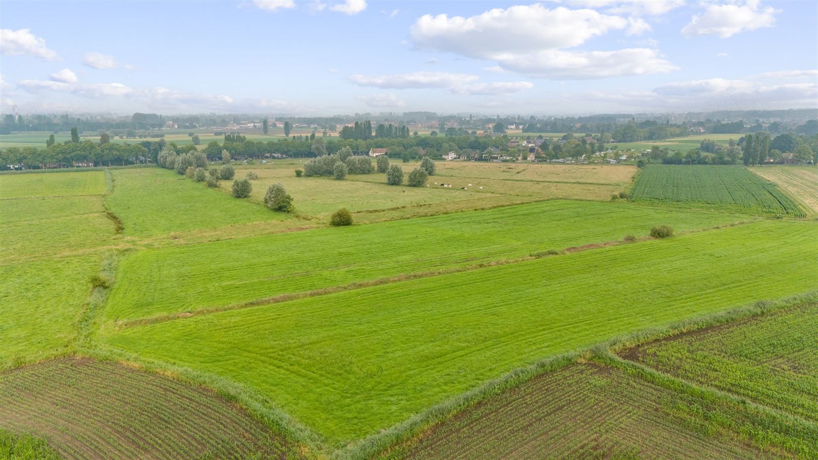 Boerderij met iets meer dan 38ha grond foto 8