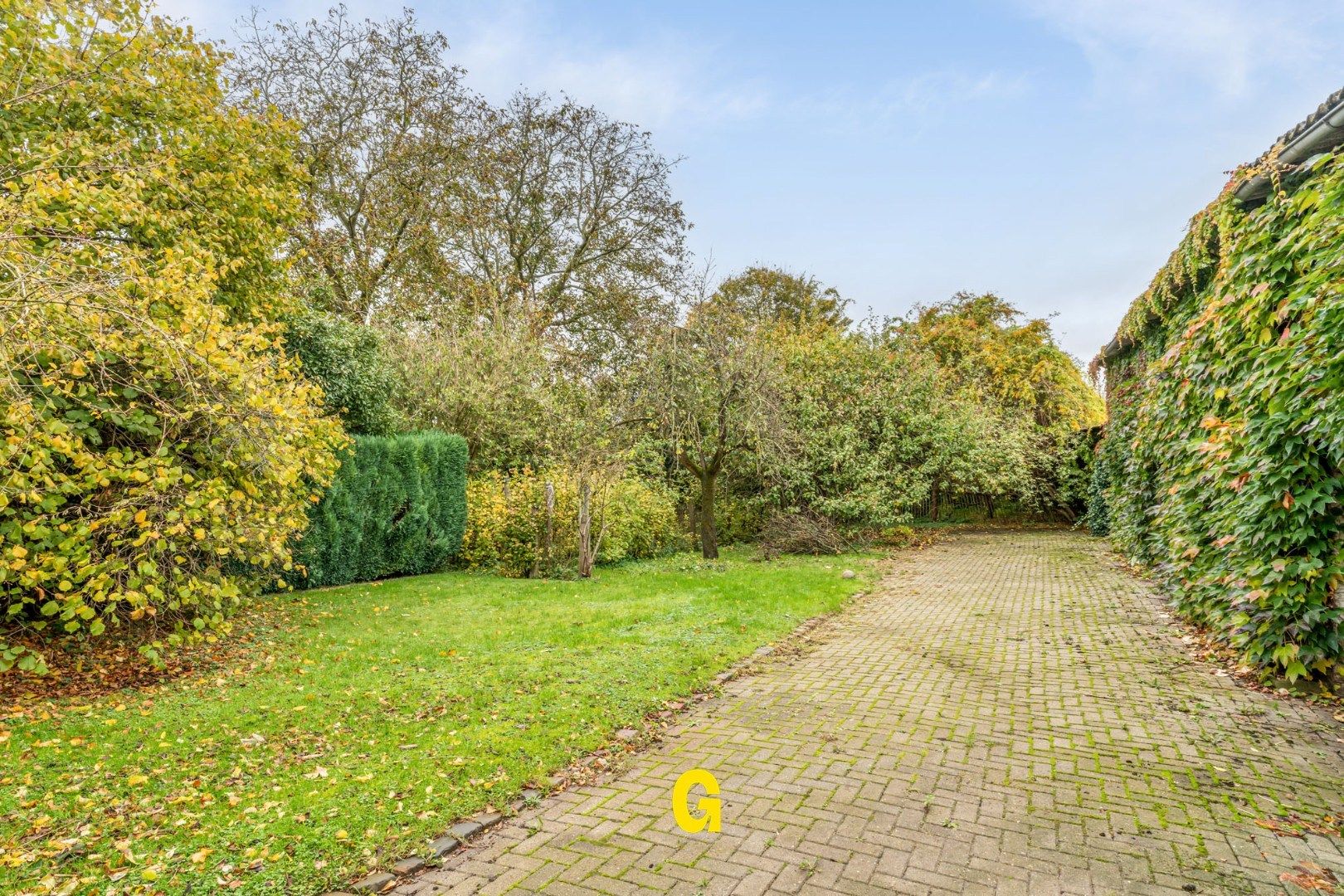 ***IN OPTIE*** Degelijk gebouwde halfopen woning met tuin en 315 m² vergunde opslagplaatsen en garage, vlak bij het centrum van Hoeselt foto 29