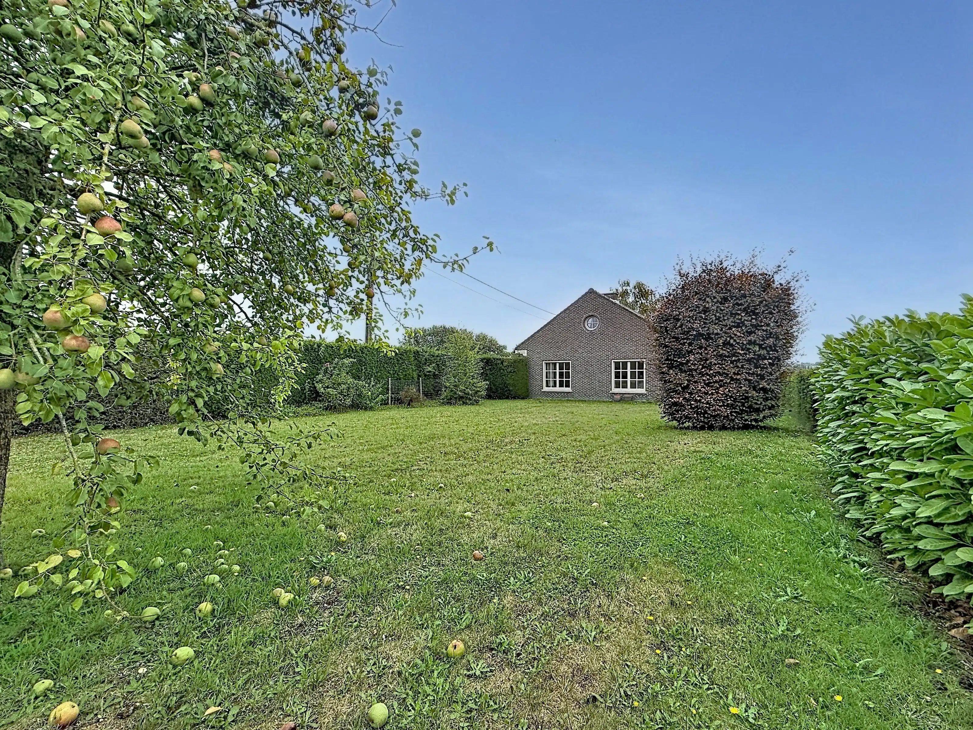 Landelijk gelegen gelijkvloerse villa te huur in Zonnebeke met 2 slaapkamers, garage, grote tuin en prachtig uitzicht! foto 17