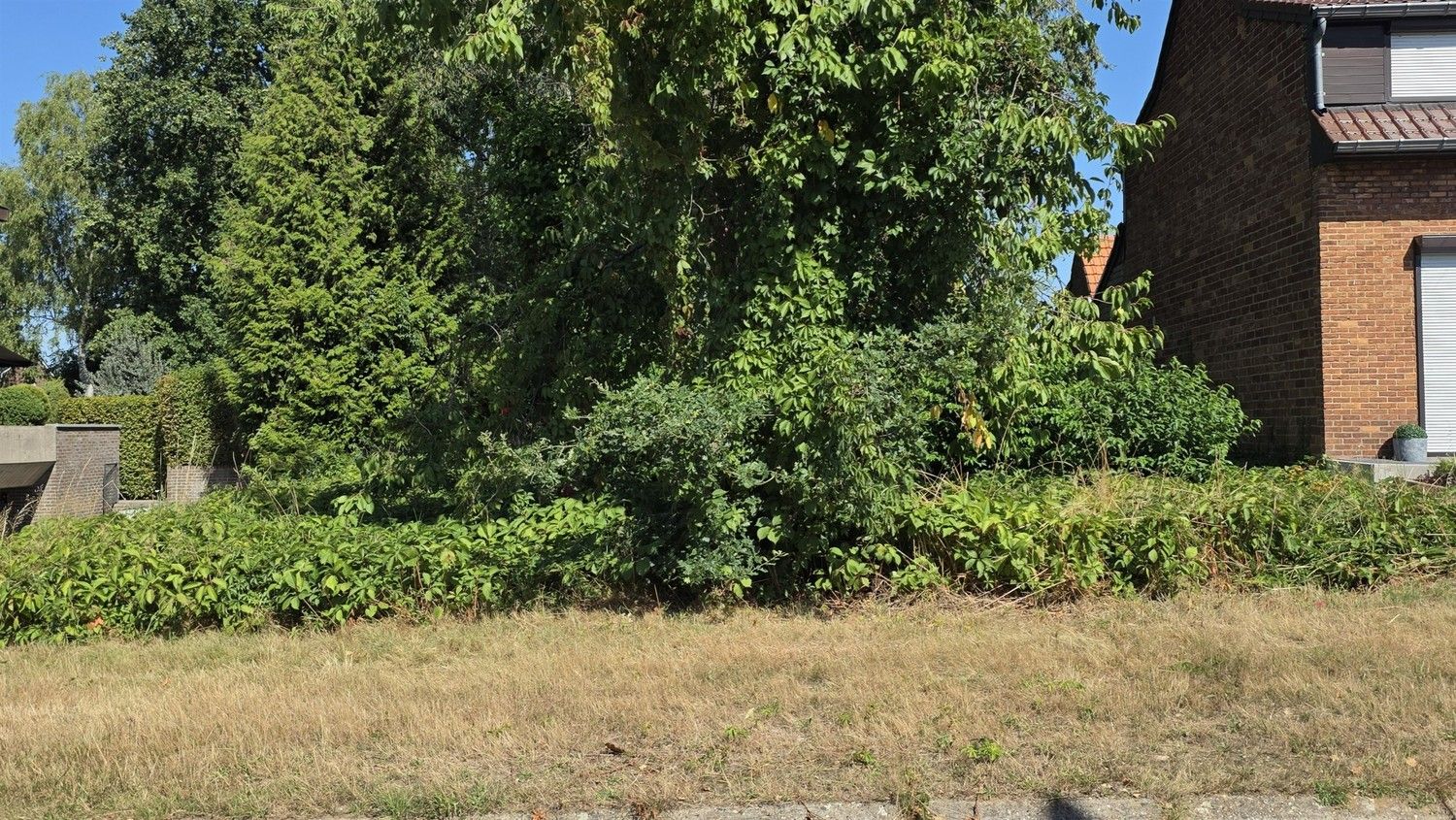 Bouwgrond in Genk – Oud-Waterschei (Winkelstraat) – topligging voor halfopen bebouwing foto 2