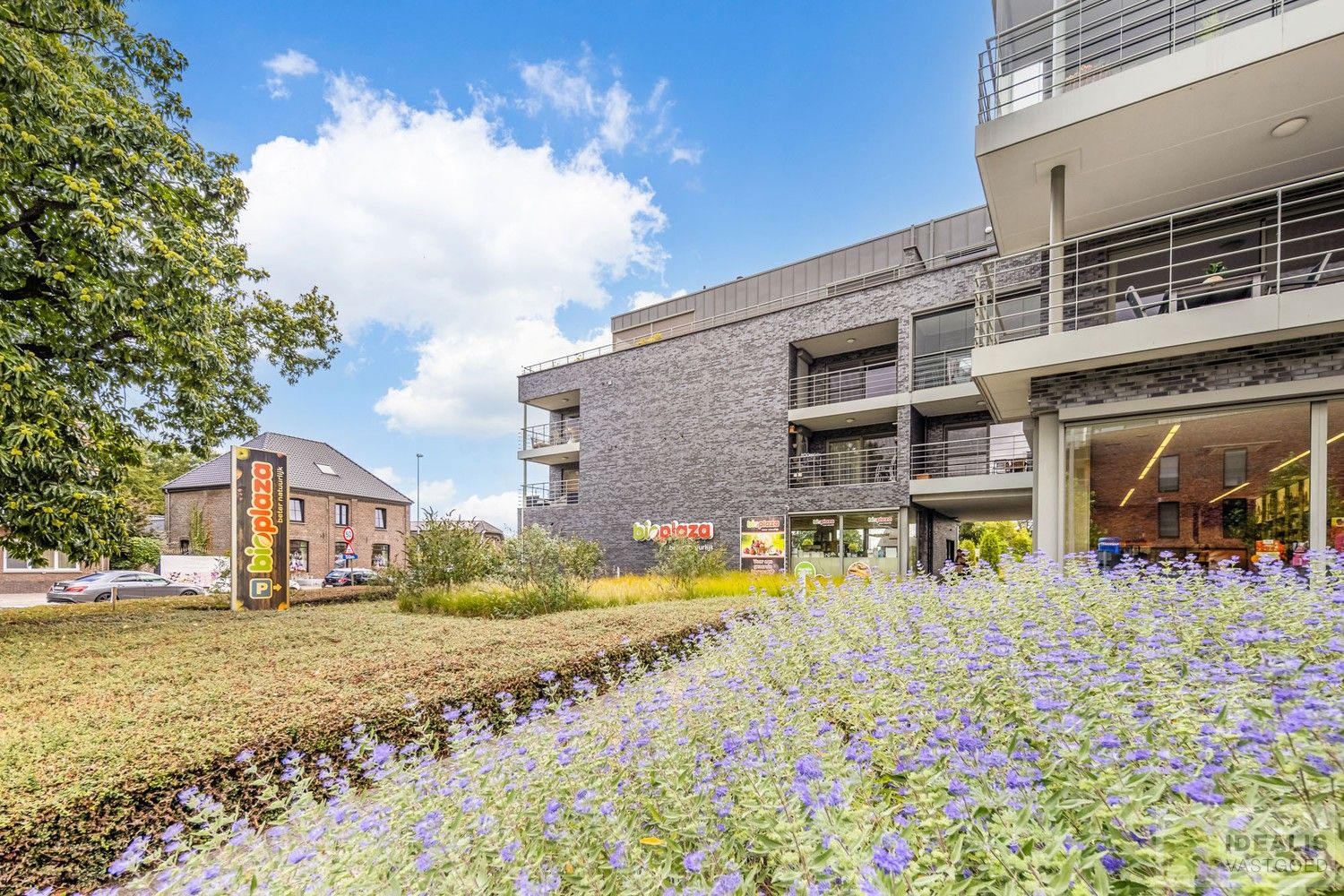 IDEALIS VASTGOED – PERFECT ONDERHOUDEN INSTAPKLAAR APPARTEMENT met een bewoonbare oppervlakte van 91m² bestaande uit een prachtige leefruimte, 2 zeer ruime slaapkamers, een aangenaam terras en ondergrondse parkeerplaats! Het appartement is gelegen in hartje Pelt op wandelafstand van horeca, shopping en openbaar vervoer! foto {{pictureIndex}}