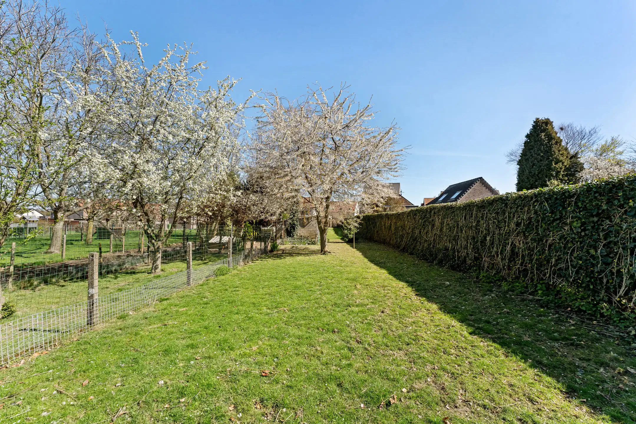 Charmante woning vlakbij de grens met Maastricht.  foto 13