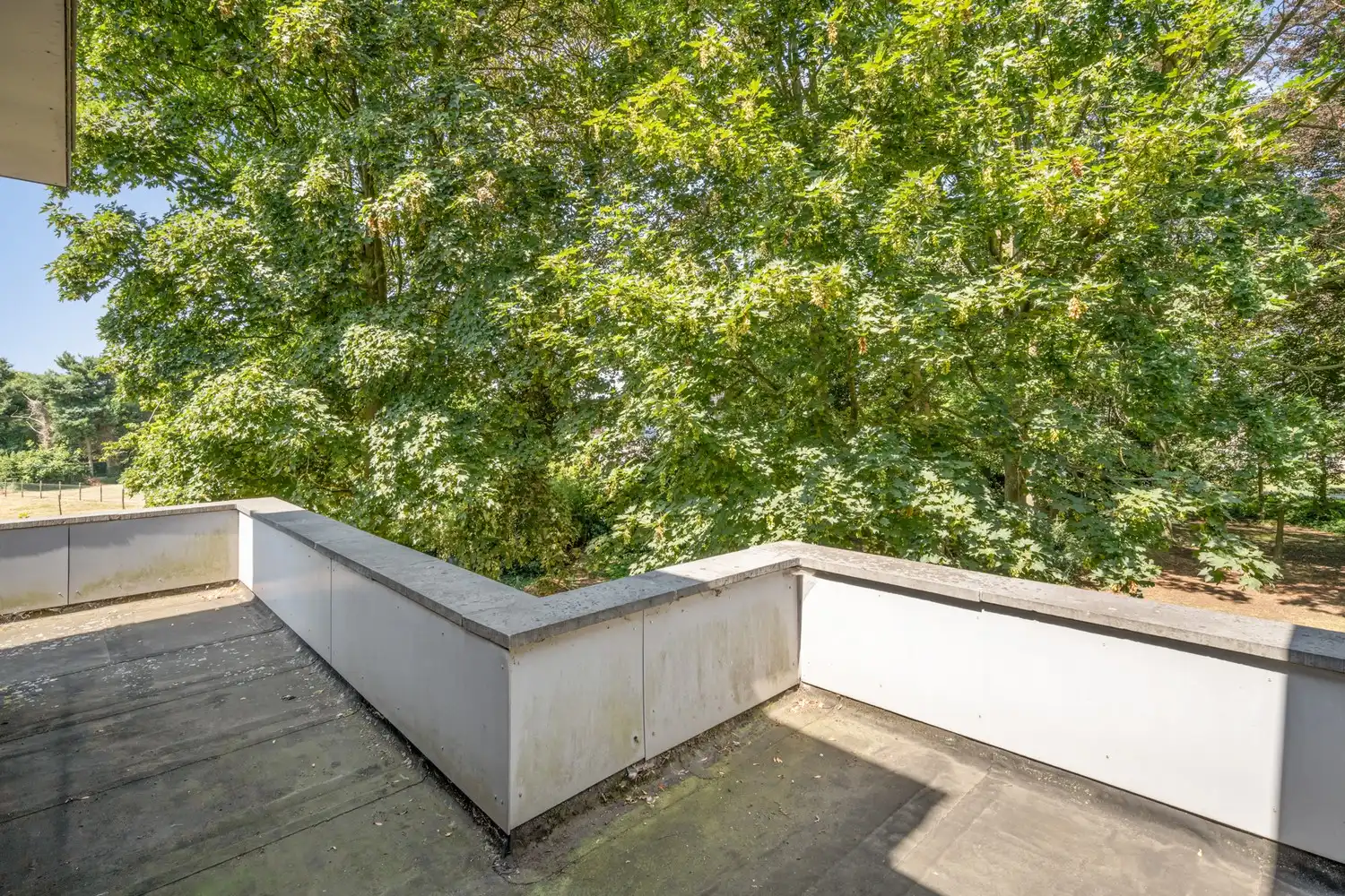 Karaktervolle villa op uitzonderlijk parkdomein van 67 are met ontwikkelingspotentieel vlakbij Gent foto 19