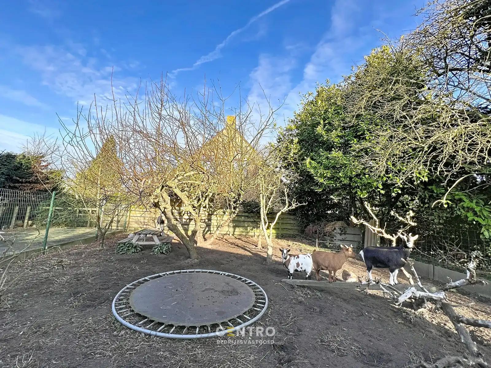 Goed draaiende krantenWINKEL met WOONST (4 slpk) en extra STALLING op een perceel van 820m² op commerciële ligging te Gistel ! foto 27