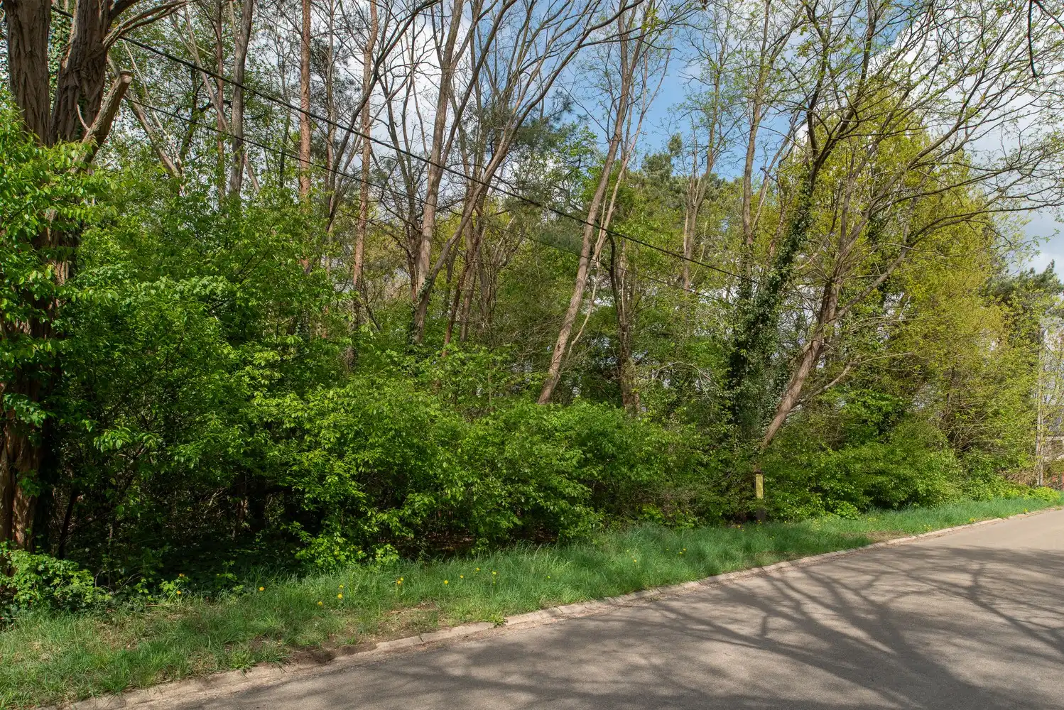 Mooie bouwgrond voor open bebouwing: LOT 1 foto 10