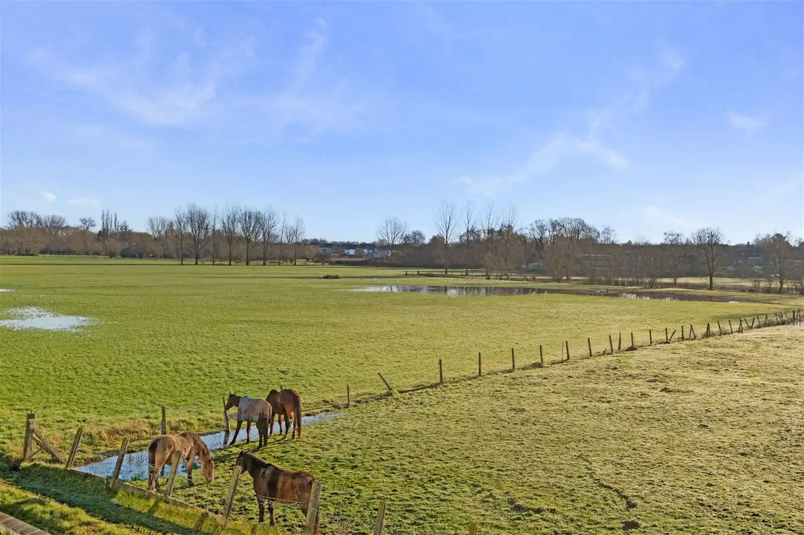 Gezellig gerenoveerde woning op unieke locatie foto 2