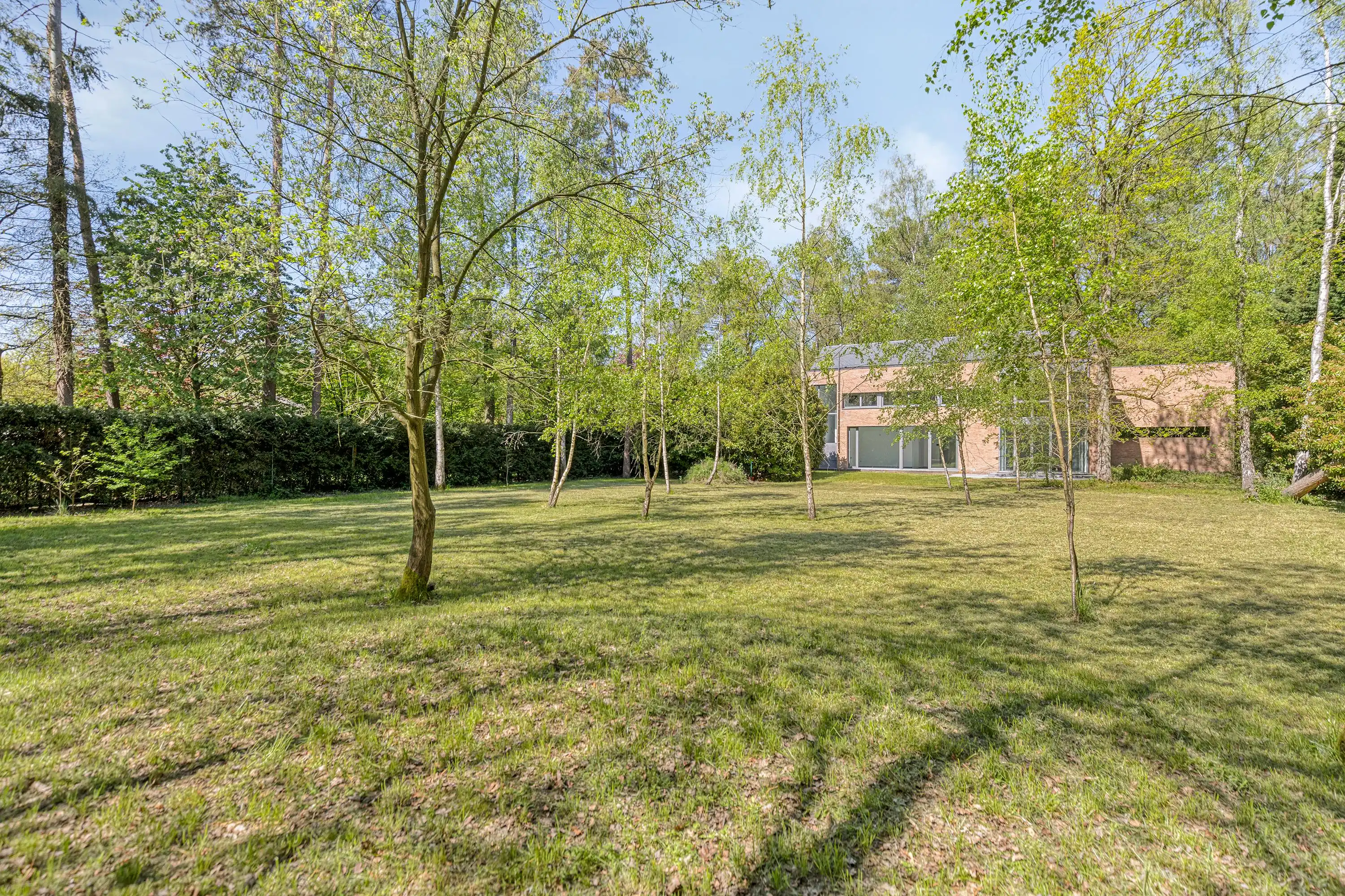 Exclusieve villa in Schilde met ruime zuid-gerichte tuin. foto 3
