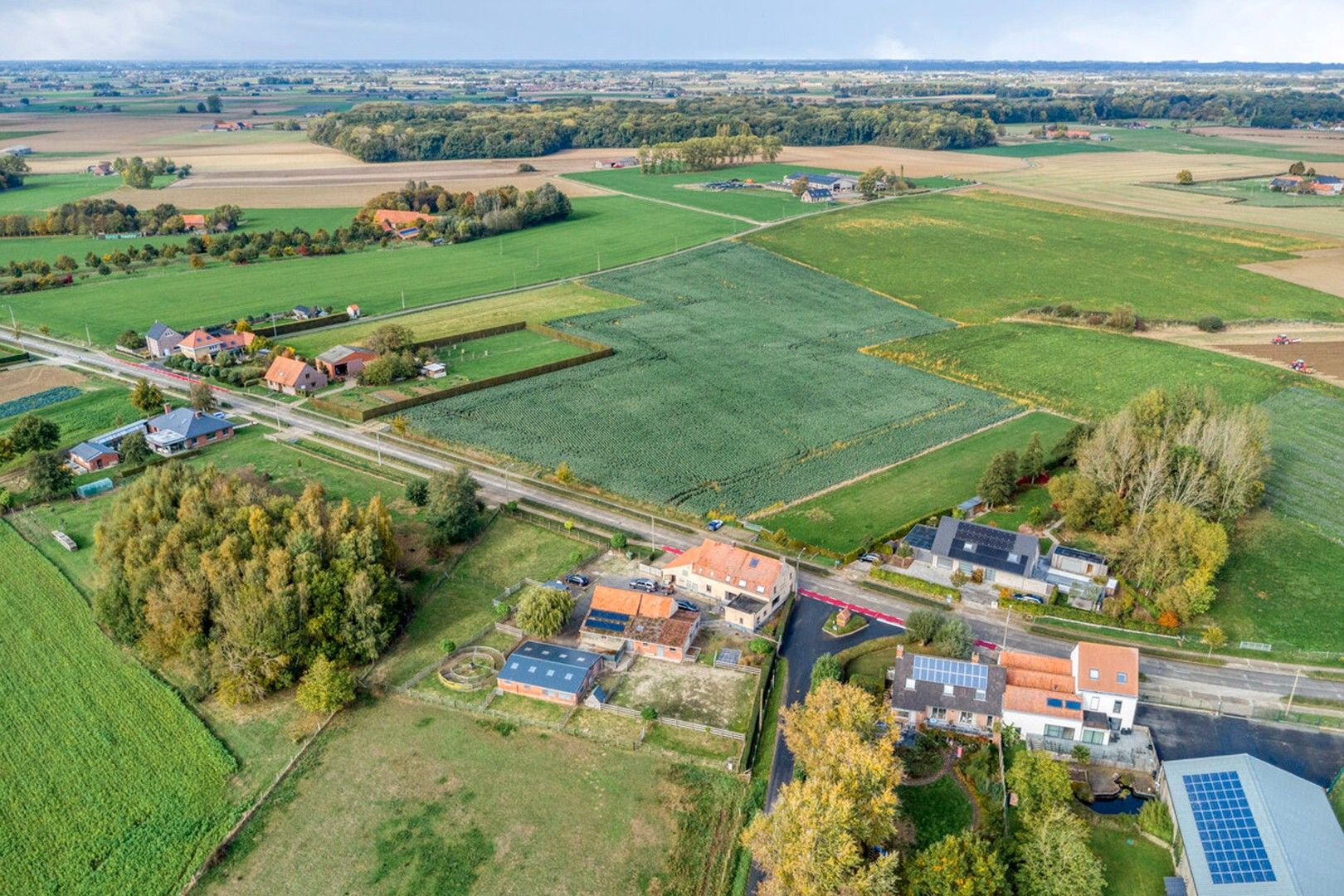 Ruime instapklare hoeve met diverse bijgebouwen foto {{pictureIndex}}