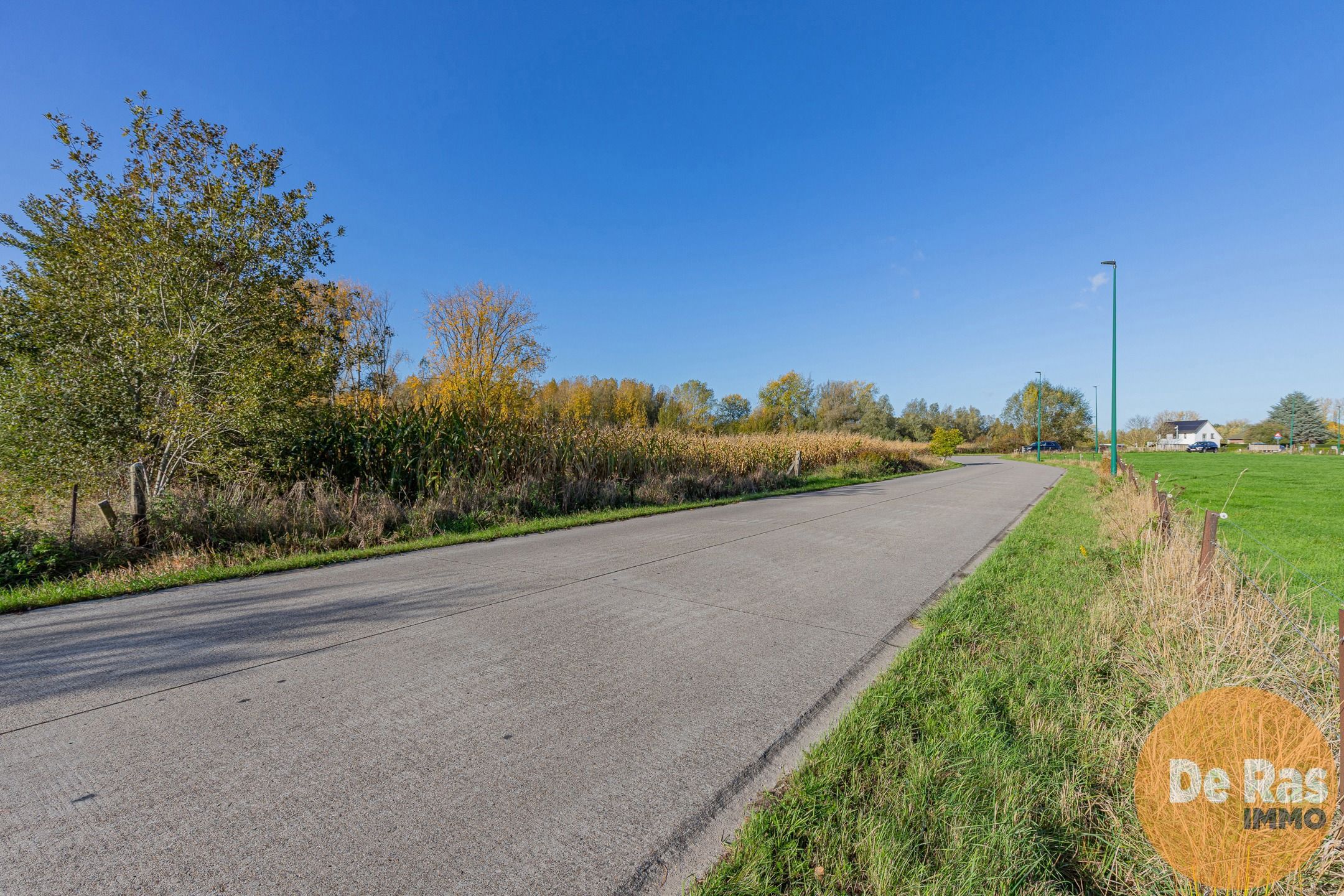 AALST - Landbouwgrond/weide 81a foto 10