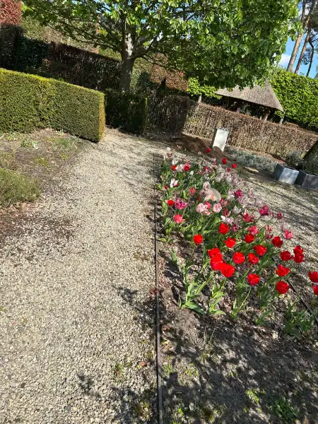 Een eigendom met uitzonderlijk potentieel foto 16