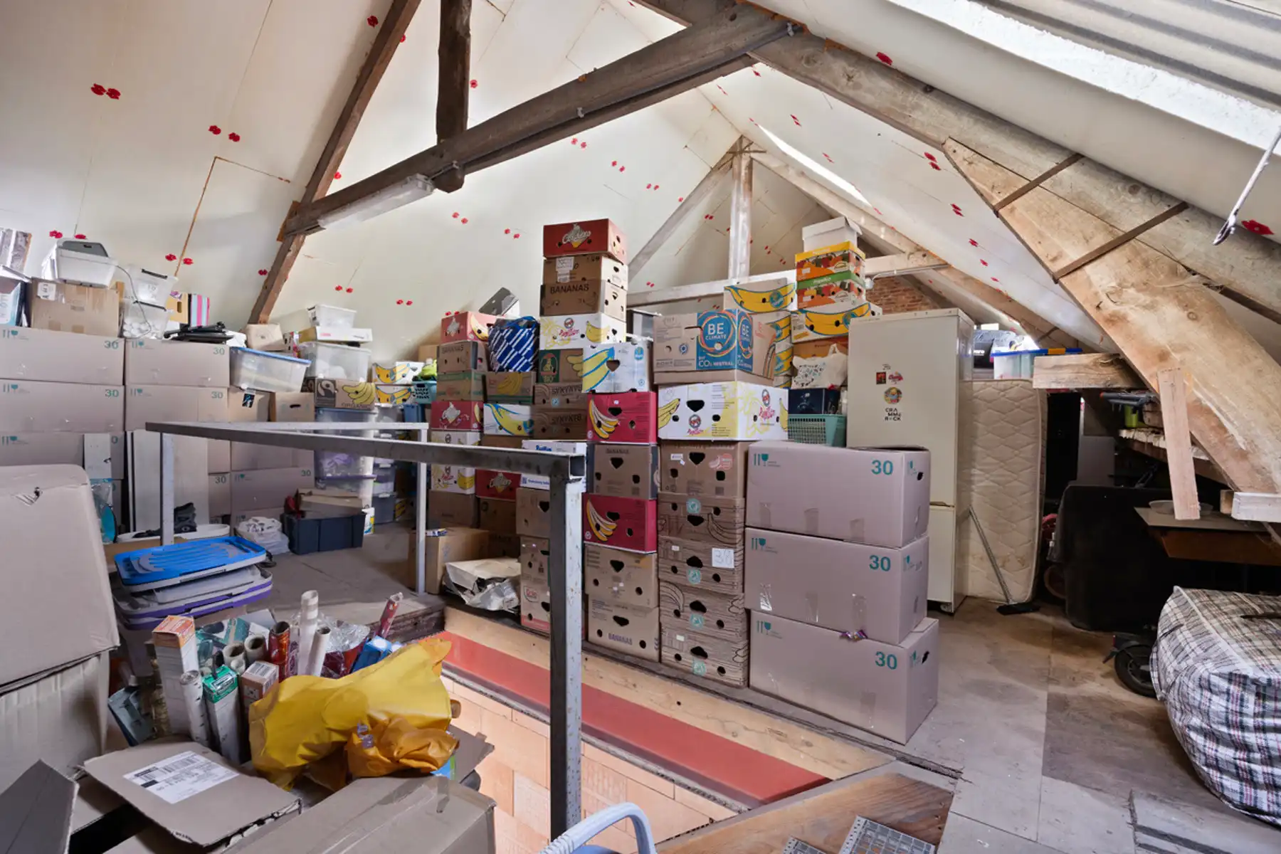 Loods/Berging in Lebbeke  foto 6