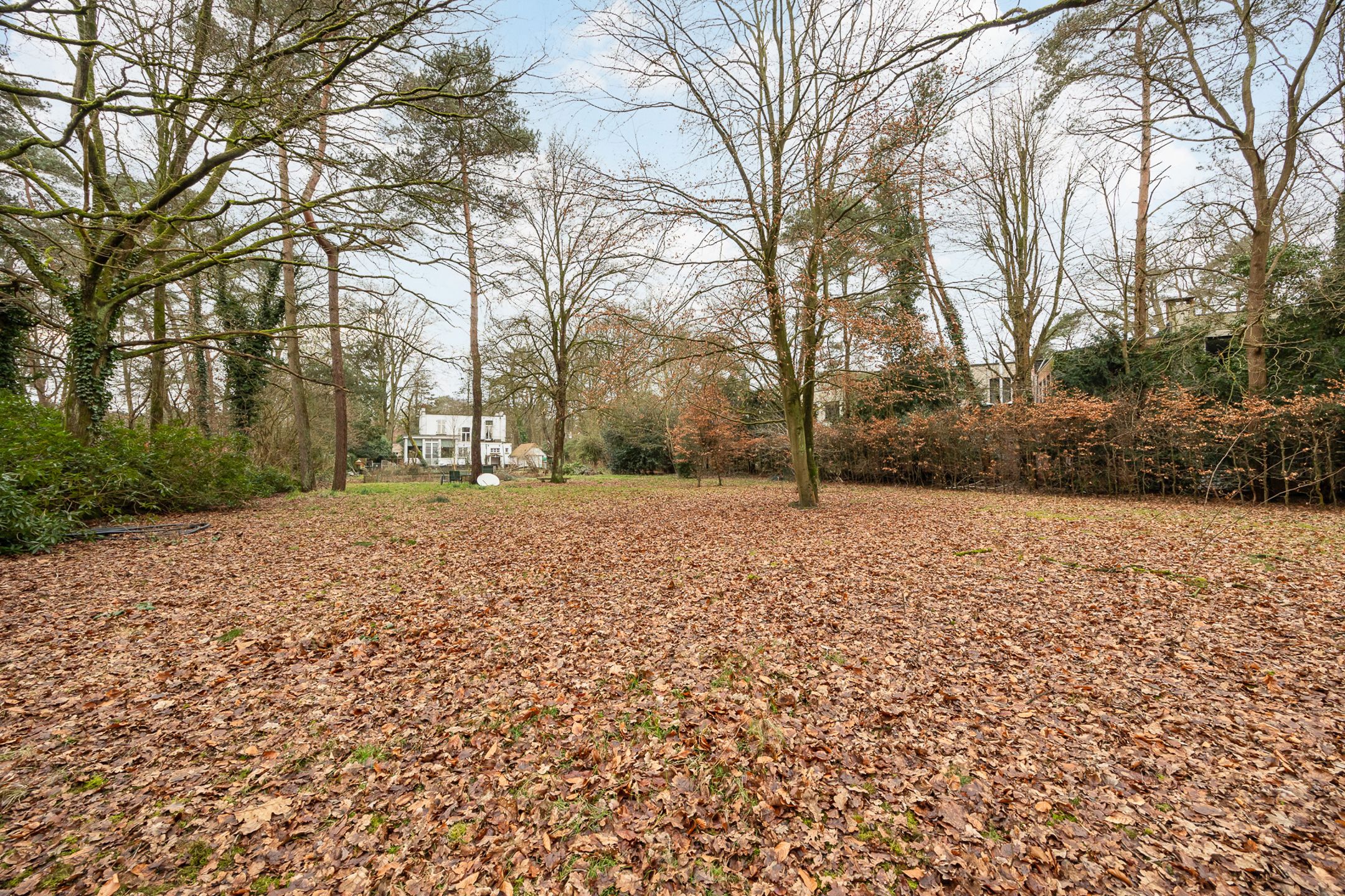 Mooi renovatieproject op terrein van 8204 m2 in Koningshof foto 6