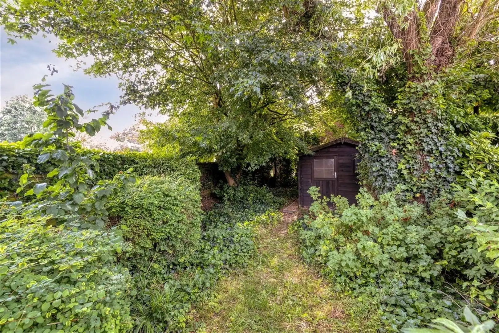 Knusse woning in deelgemeente Leupegem foto 32