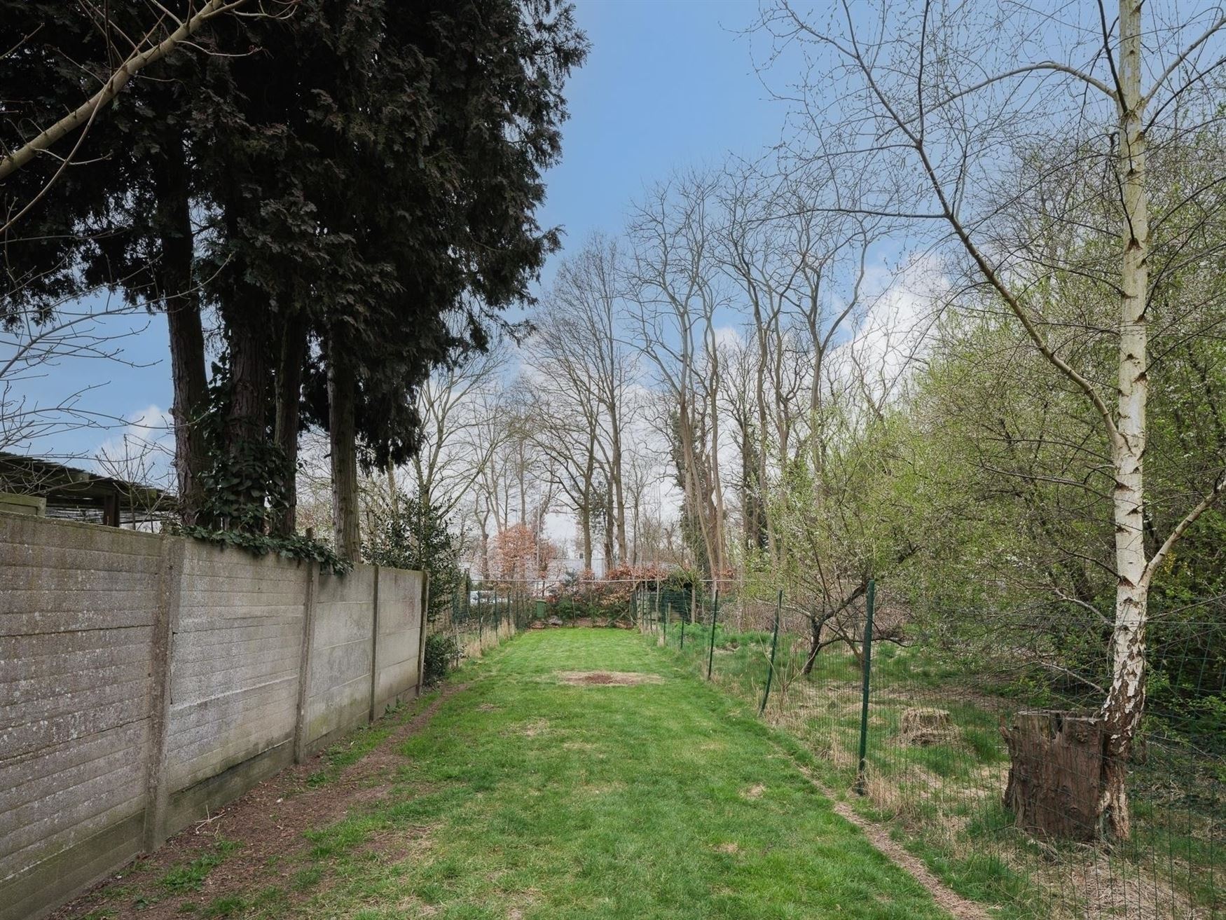 Instapklare gezinswoonst in dorpskern foto 24