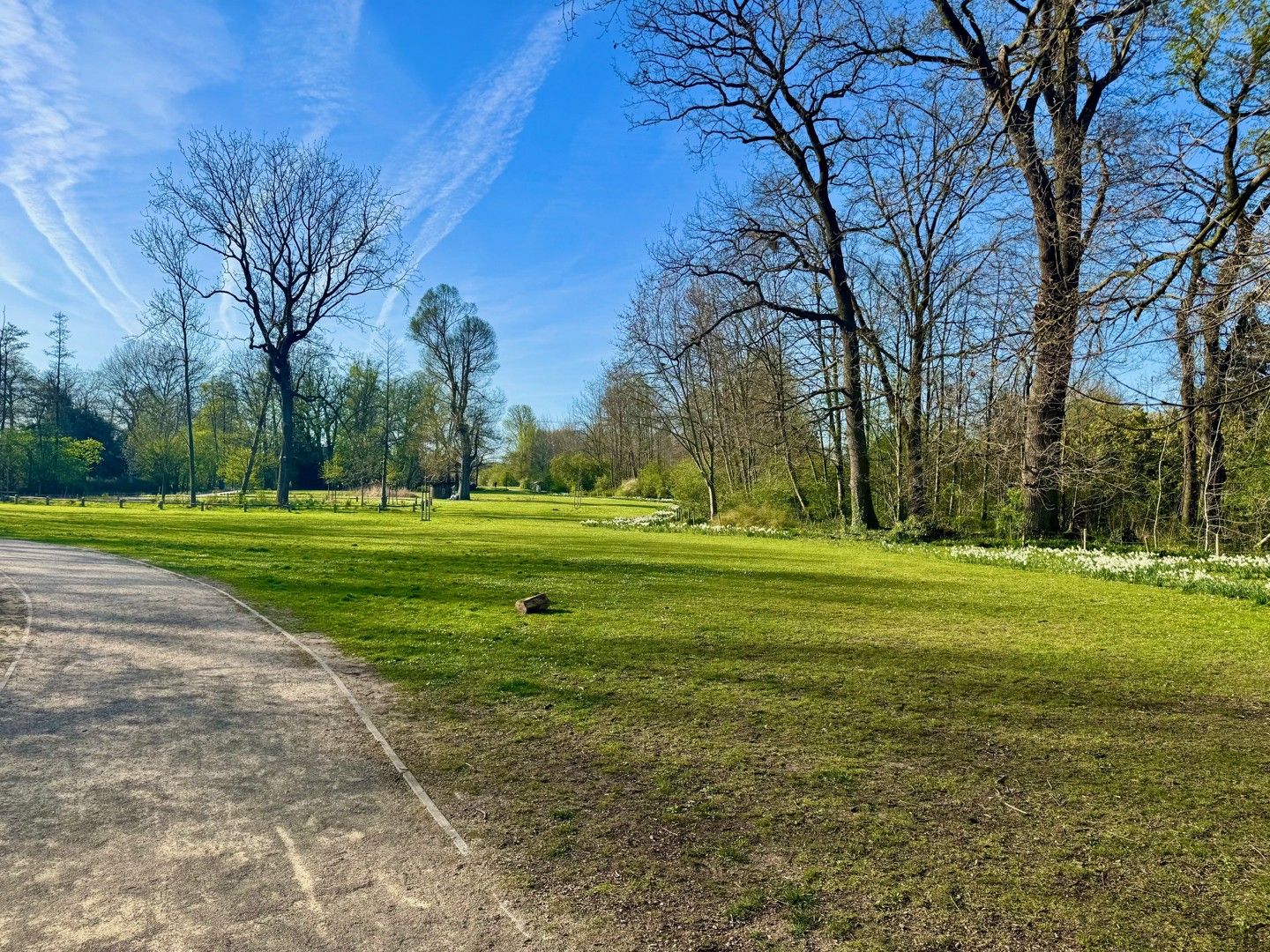 Handelspand aan het park! foto 8