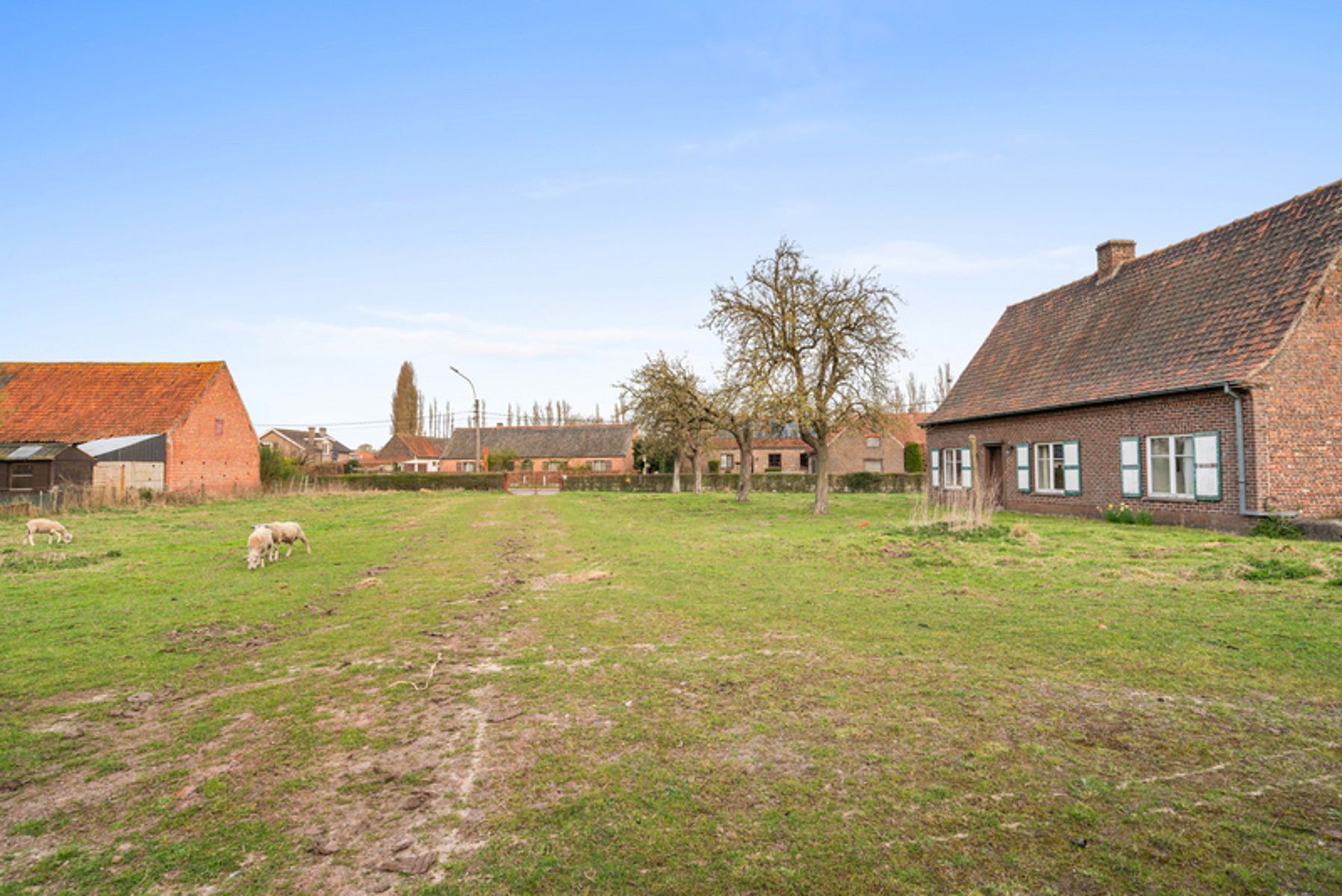 Hoeve met bijgebouwen op circa 1,2 ha foto 21