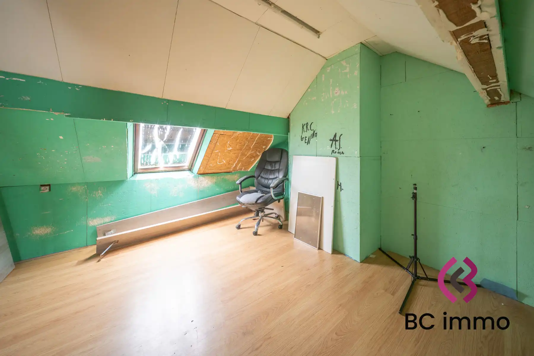 Grote woning met studio, tuin en extra kamers foto 30