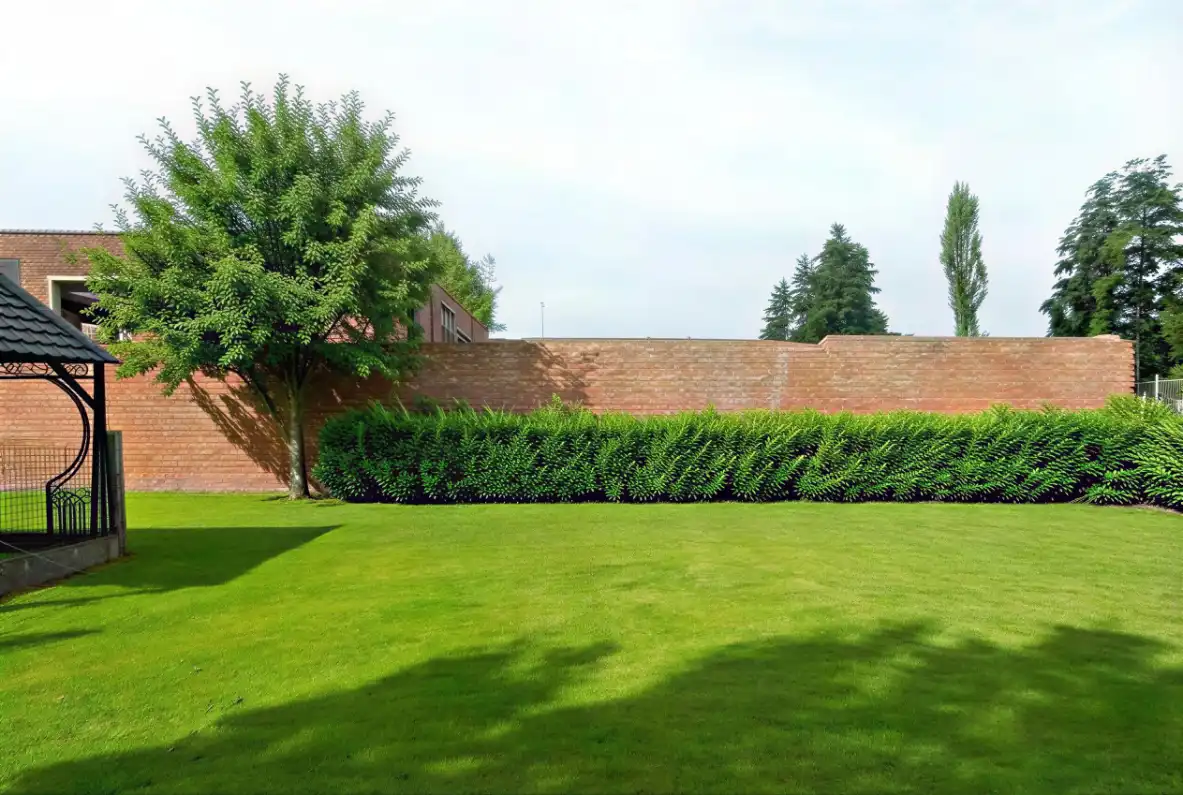 Nieuwbouw gesloten woning met 3 slaapkamers, garage en tuin foto 27