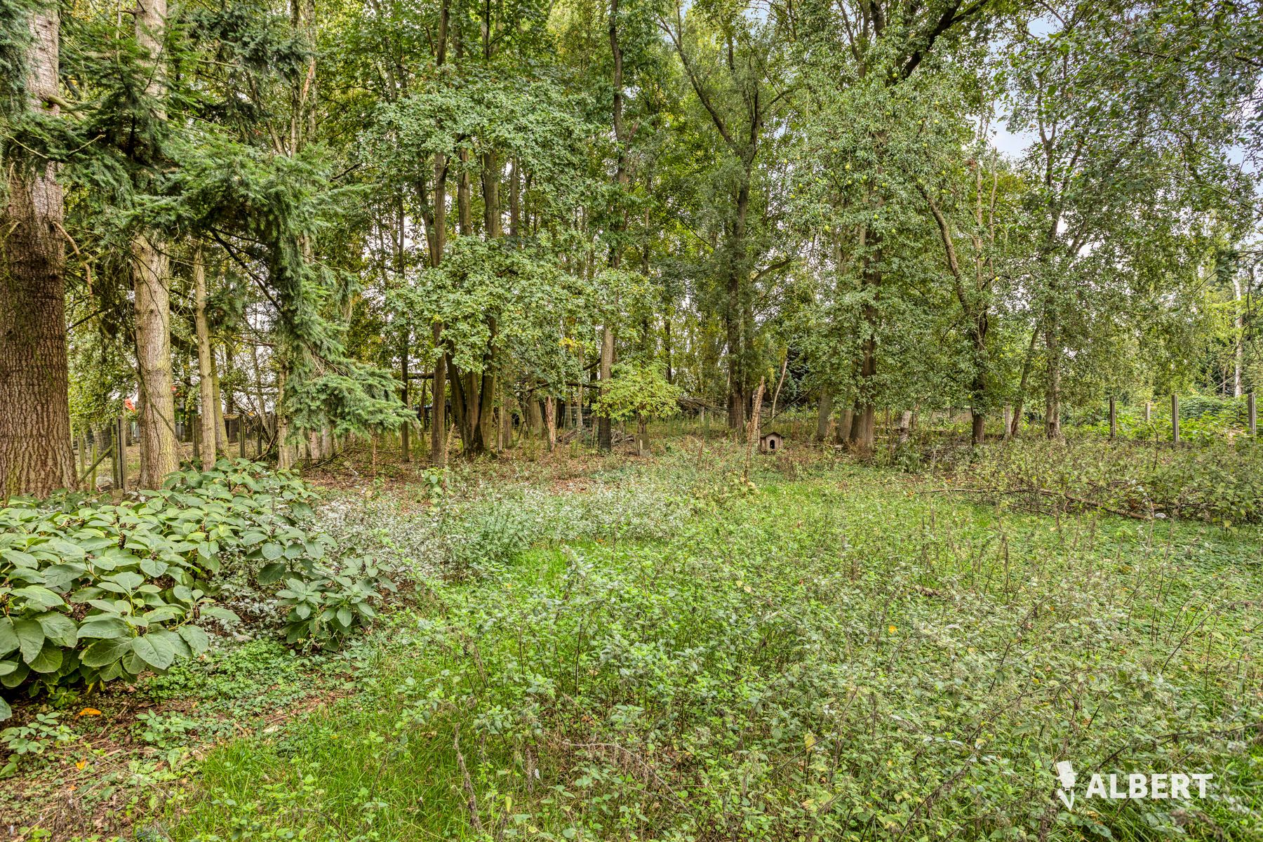 Bungalow met inrichtbare zolder op een ruim perceel foto 17