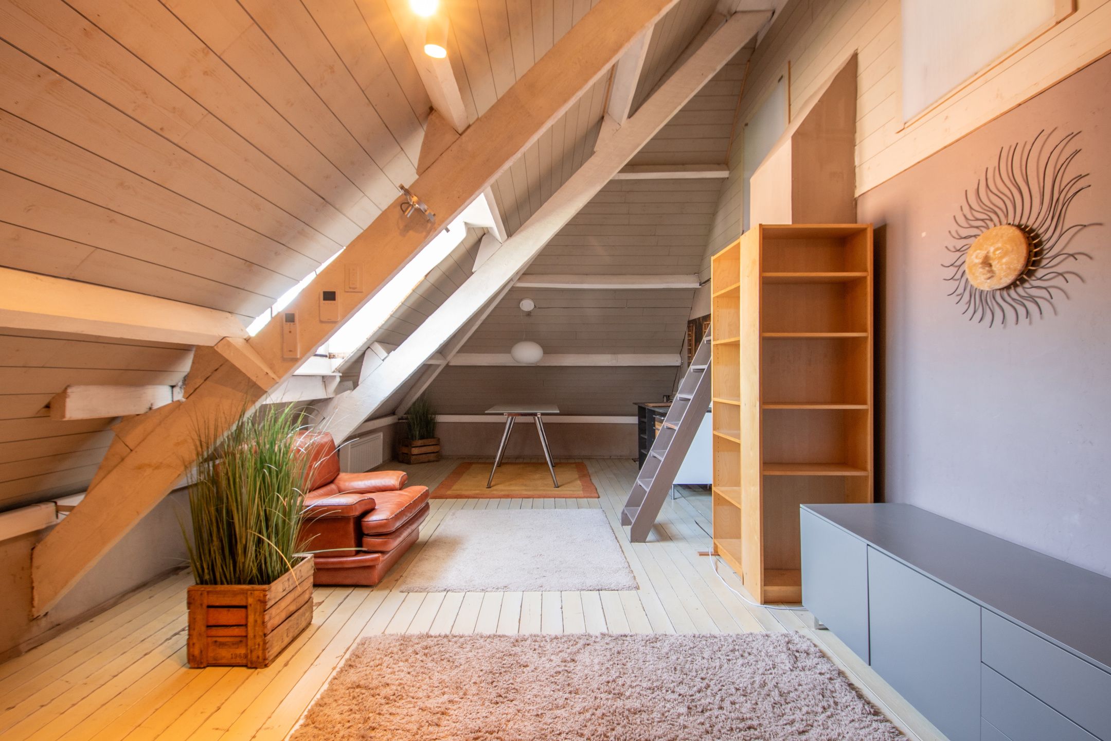 Meesterwoning met zorgflat, loft, burelen en opslag foto 35