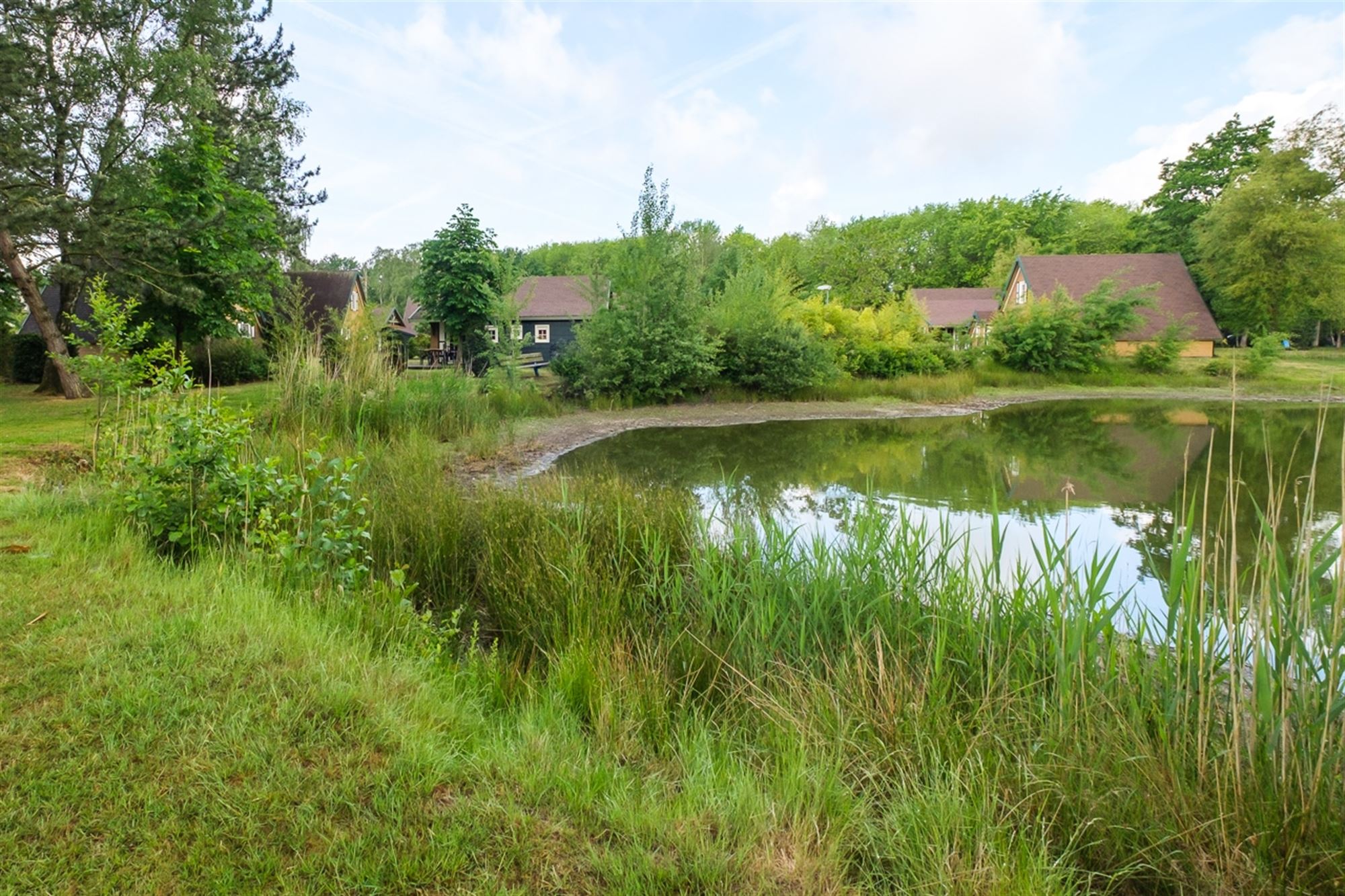 RECENTE VAKANTIEWONING MET 2 SLKS IN EEN GEZELLIG VAKANTIEPARK  foto 28