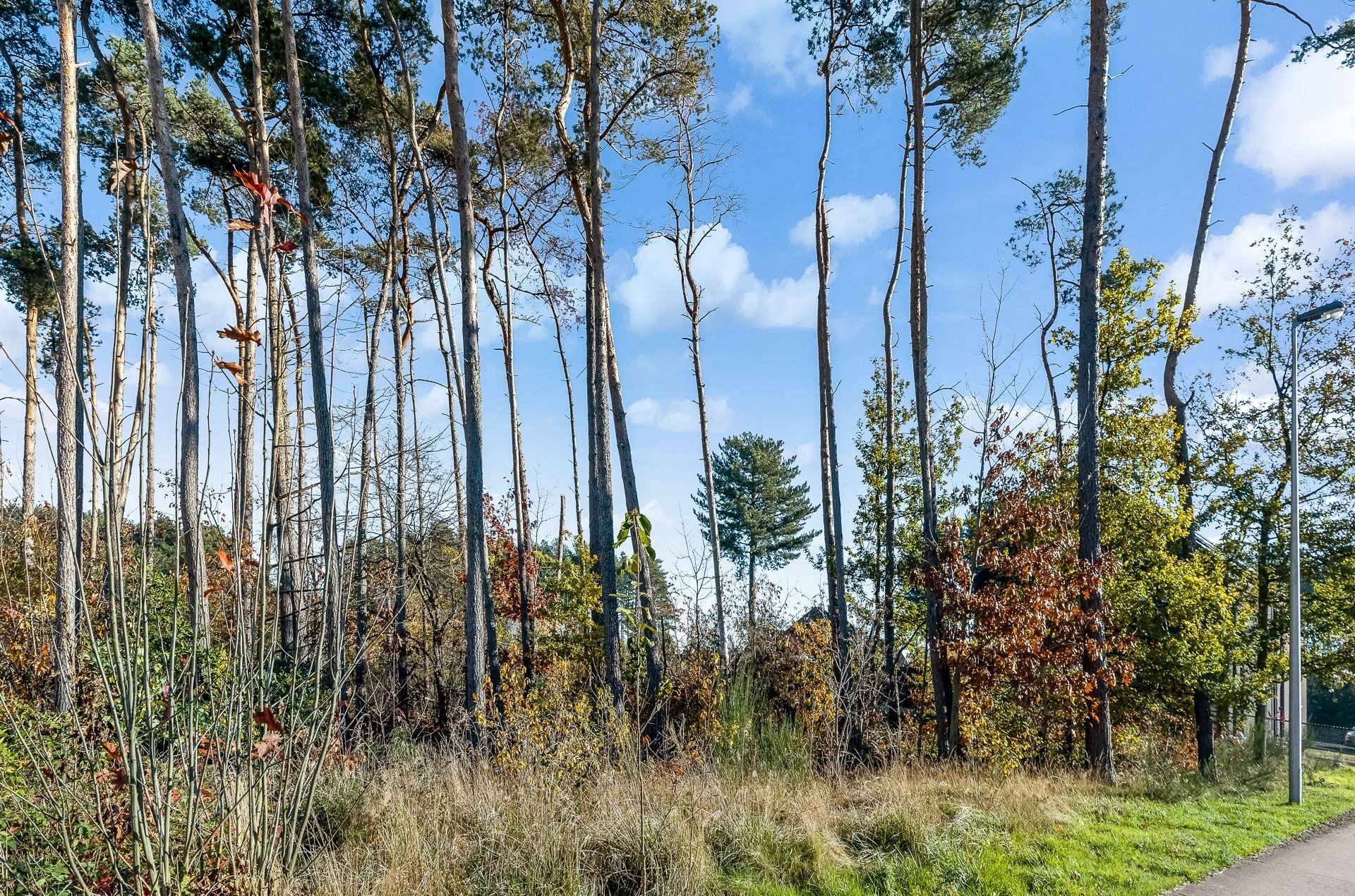 Centraal gelegen bouwgrond voor open bebouwing in Ham foto 17