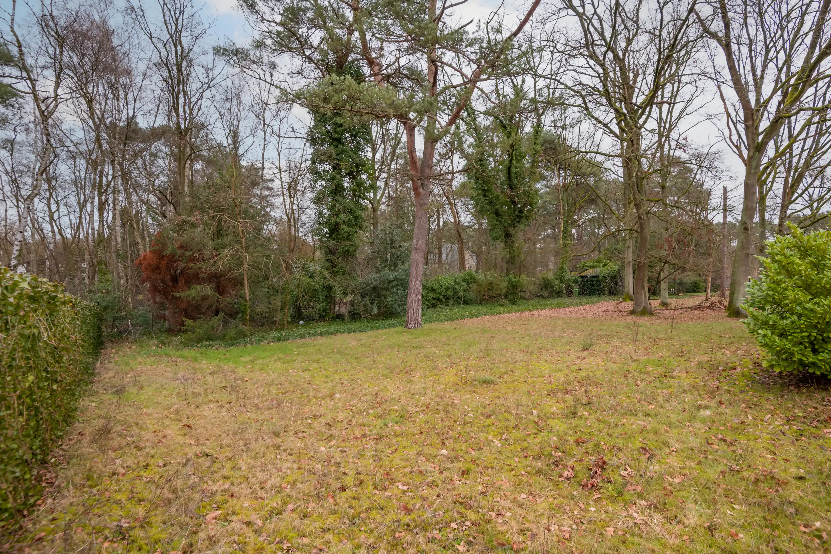Ruime, tijdloze op te frissen villa in Keerbergen foto 2