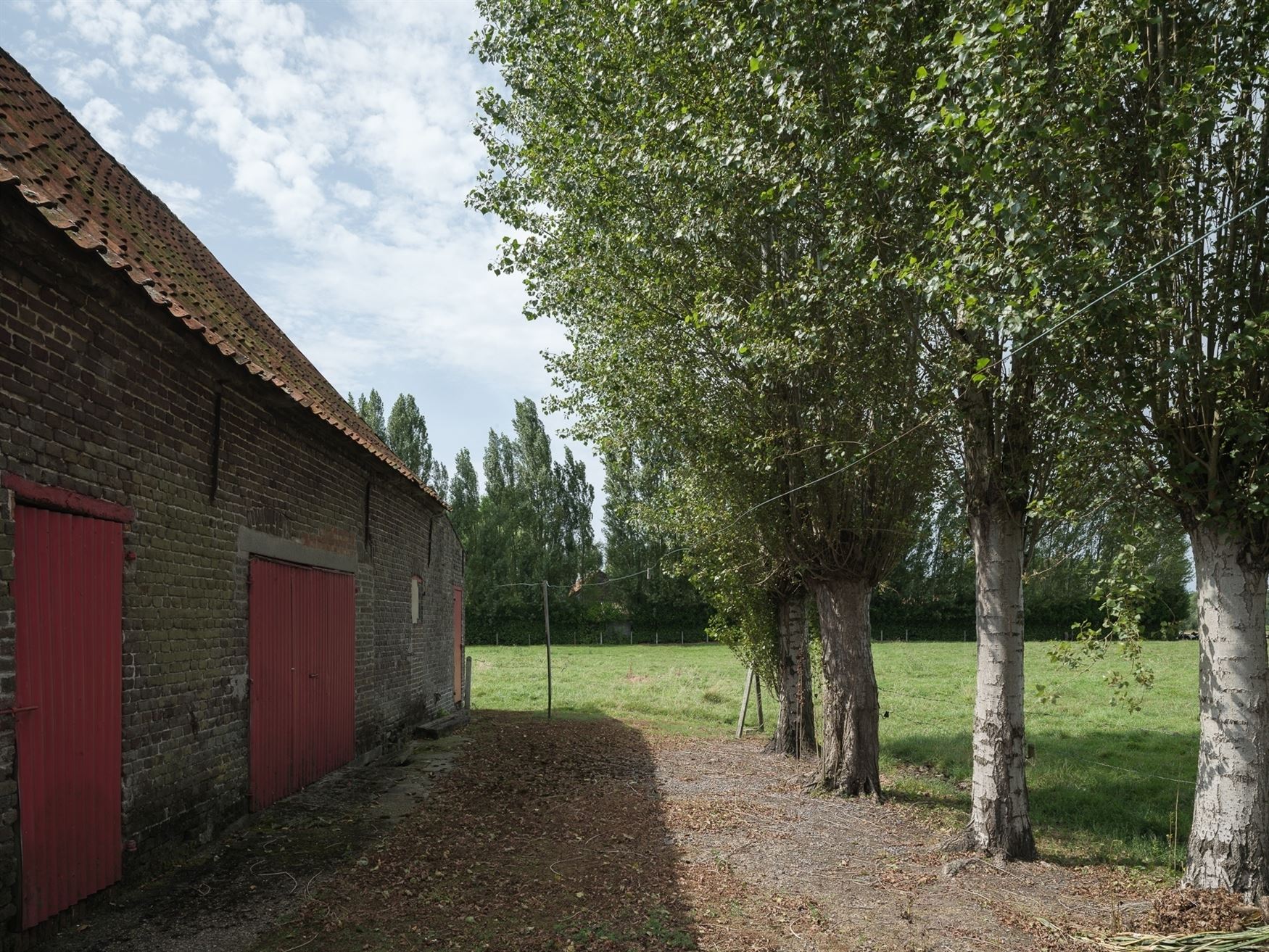 Hoeve met bijgebouwen op riant perceel foto 7