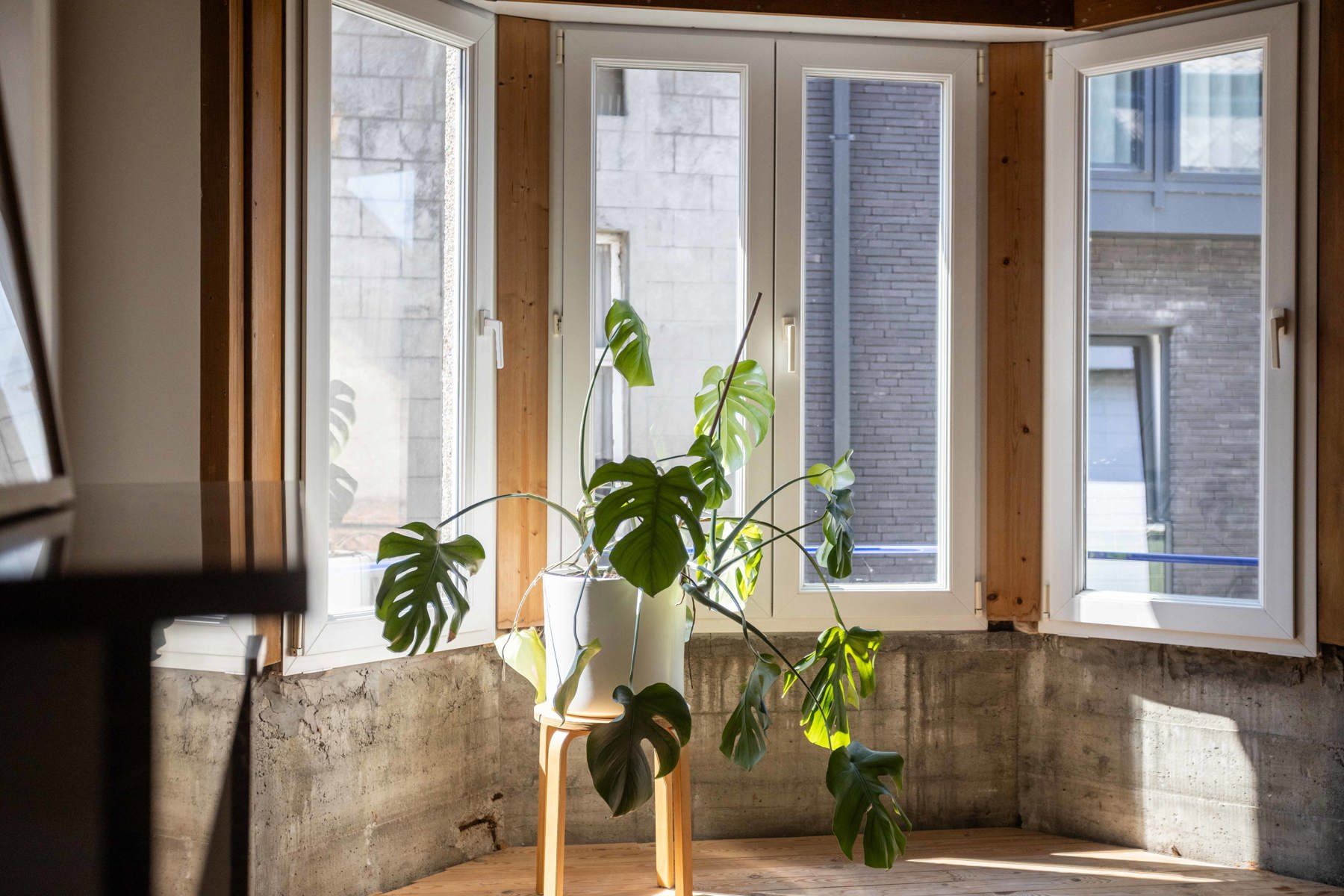 Huis te koop foto 10