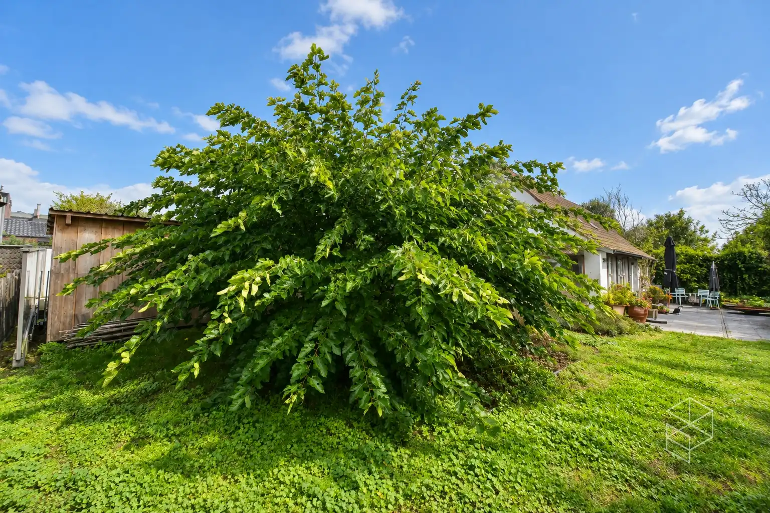 Karaktervolle woning in loftstijl met ruime loods op circa 1117 m² in Assebroek foto 12