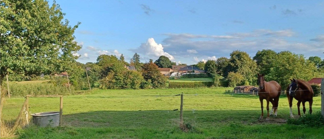 Authentieke vierkantshoeve met prachtige binnenplaats en achterliggende weide op 66a 36ca  foto 27