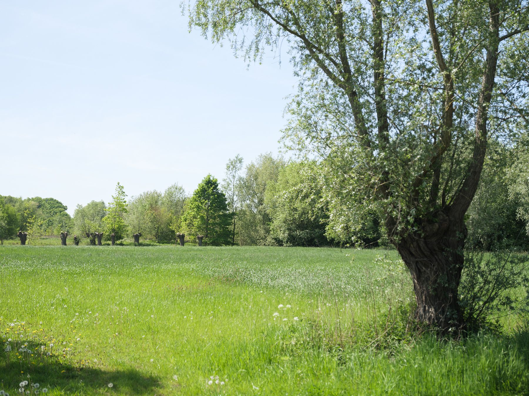 Charmante woning met zonnige tuin in het groene Drongen foto 26