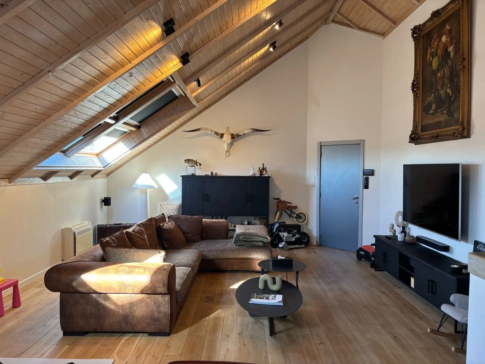 SERSKAMP - Luxueuze loft met groot terras. foto 2