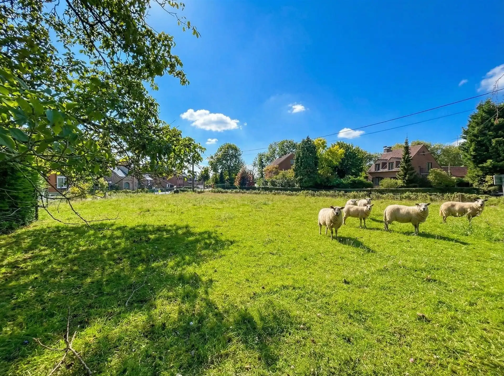  Gunstig gelegen bouwgrond op een perceel van 2.510 m² foto 3