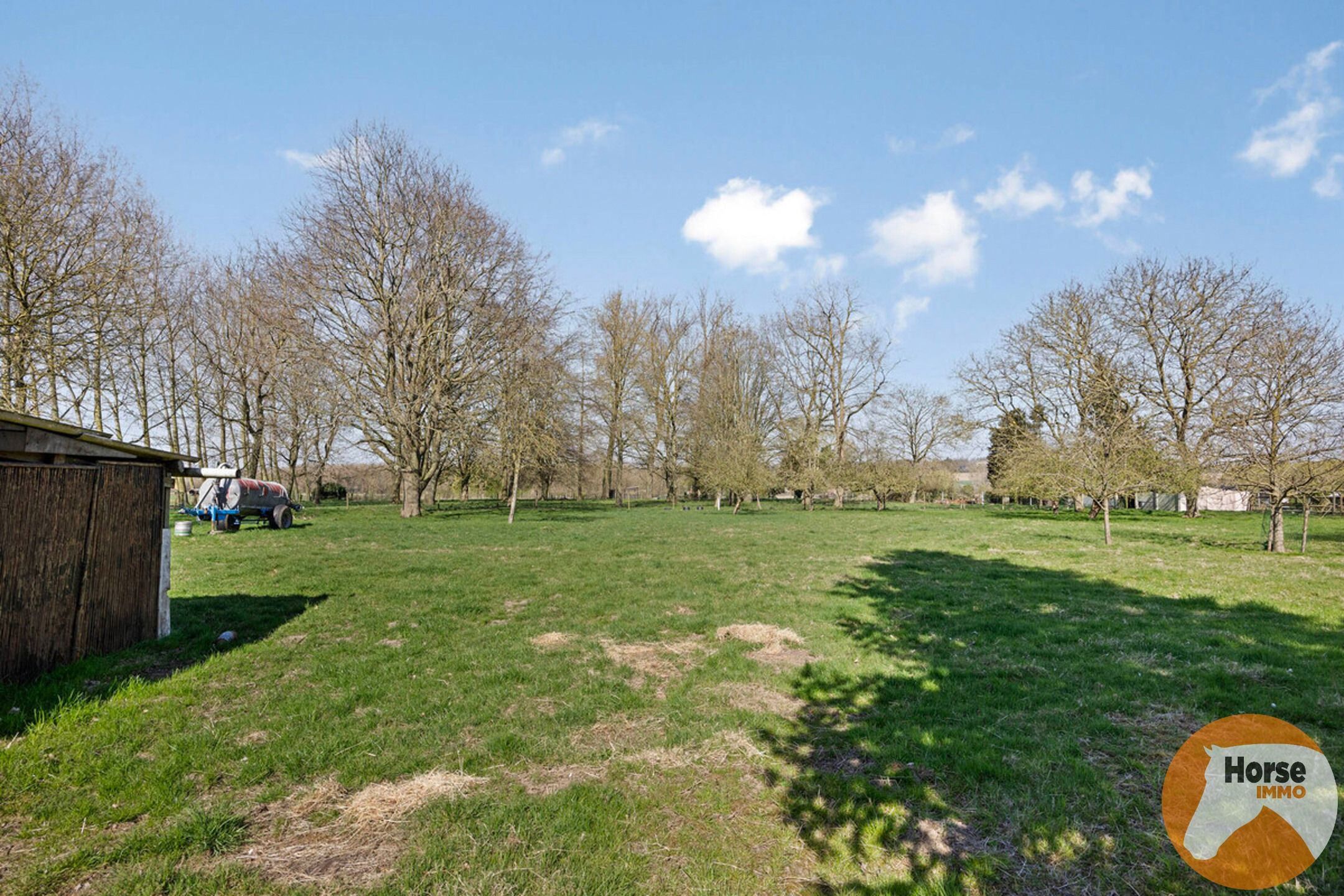 WOUBRECHTEGEM- Karaktervolle renovatiewoning op 1ha 25a 50ca foto 34
