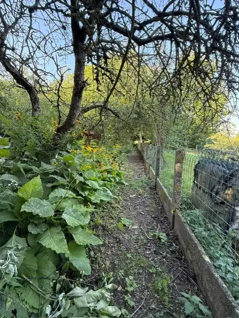 Eengezinswoning met 3 slaapkamers, garage, terras en ruime tuin foto 20