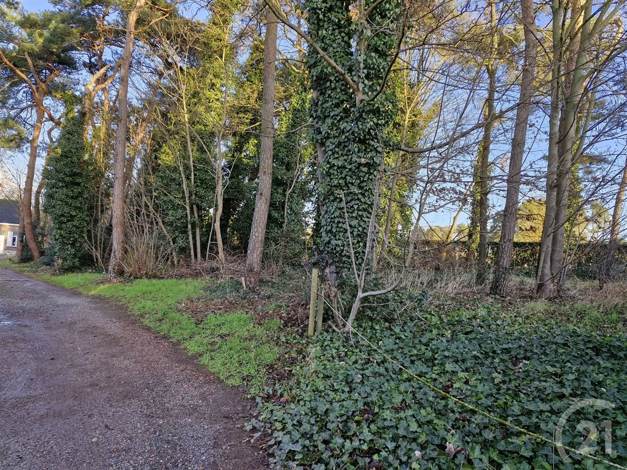 Nieuw te bouwen woning te koop in Tremelo! foto 3