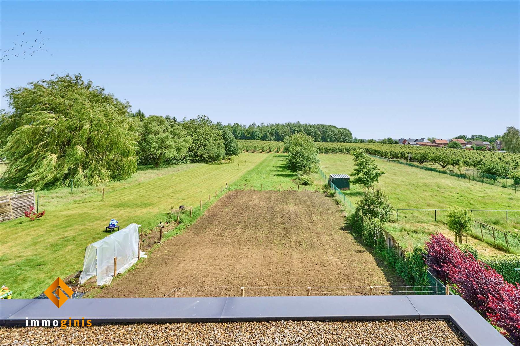 Zéér ruime woning met diverse mogelijkheden op prachtig perceel van 18a60ca in een groene omgeving.  foto 25