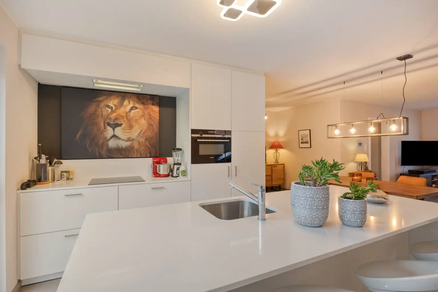 Recente instapklare woonst met tuin in Eliksem foto 12