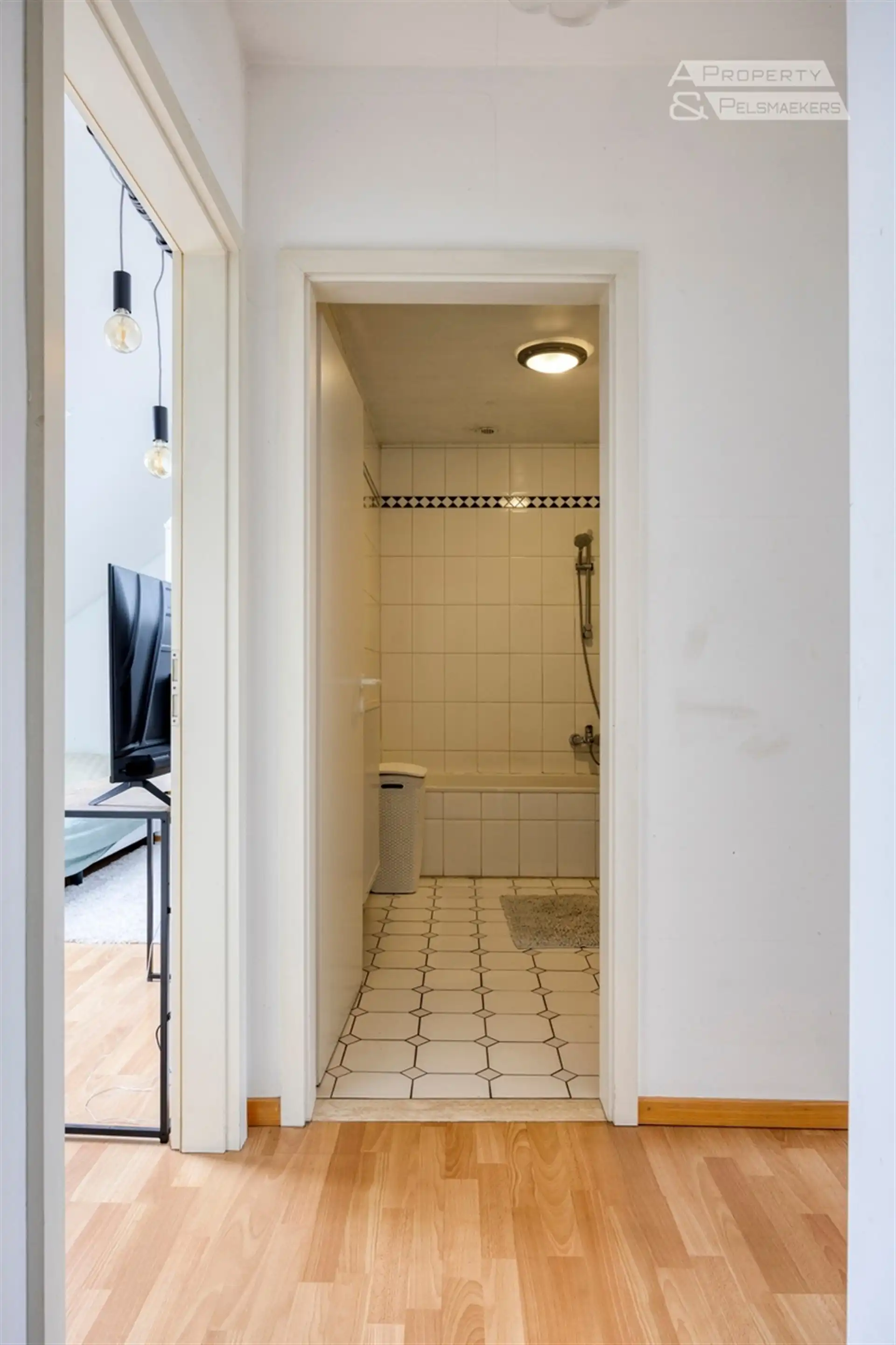 Duplex/Penthouse foto 9