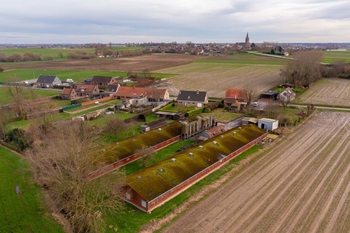 Hoeve te koop met vergunde functiewijziging te Diksmuide foto 13