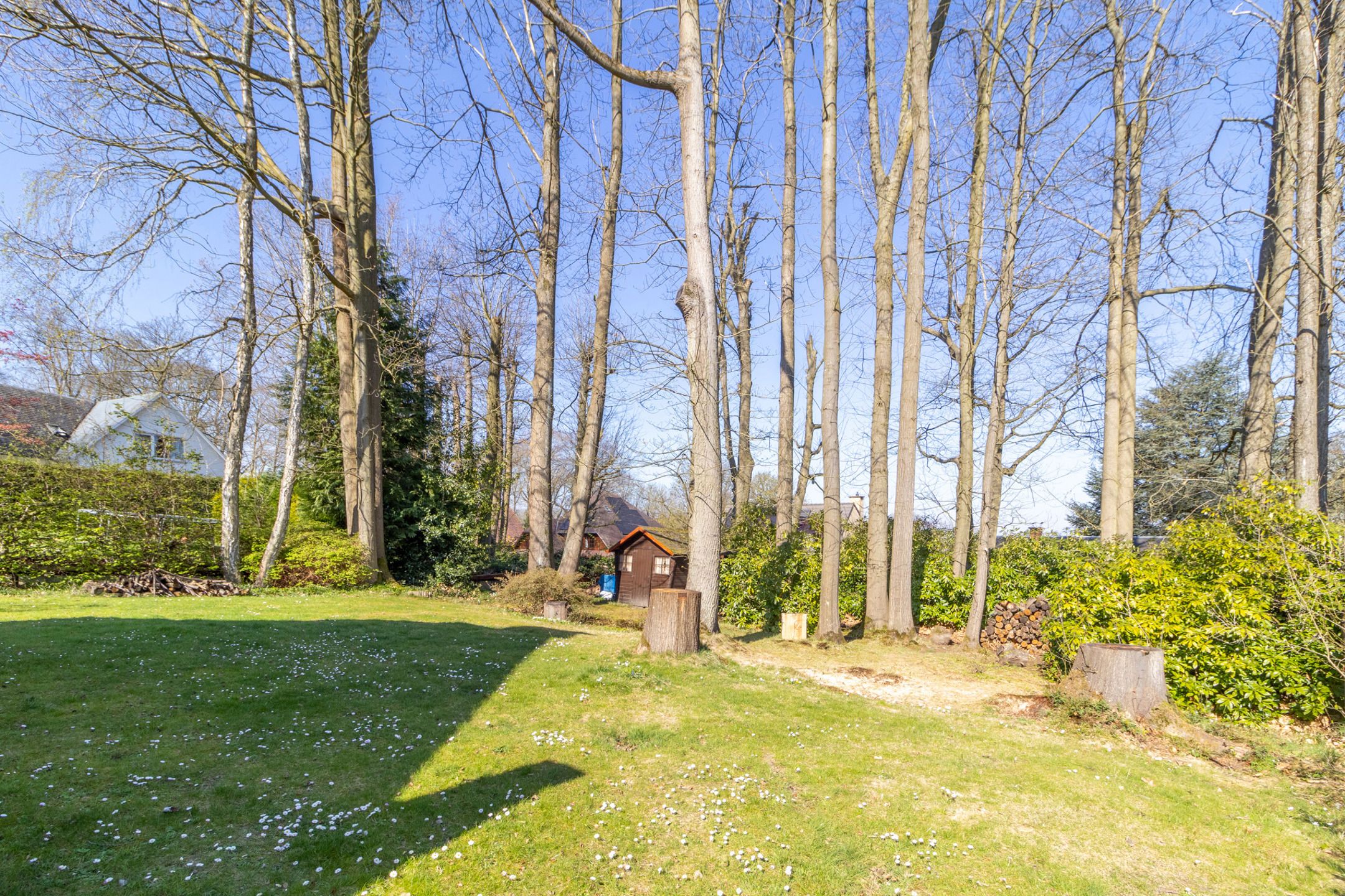Huis te koop foto 29