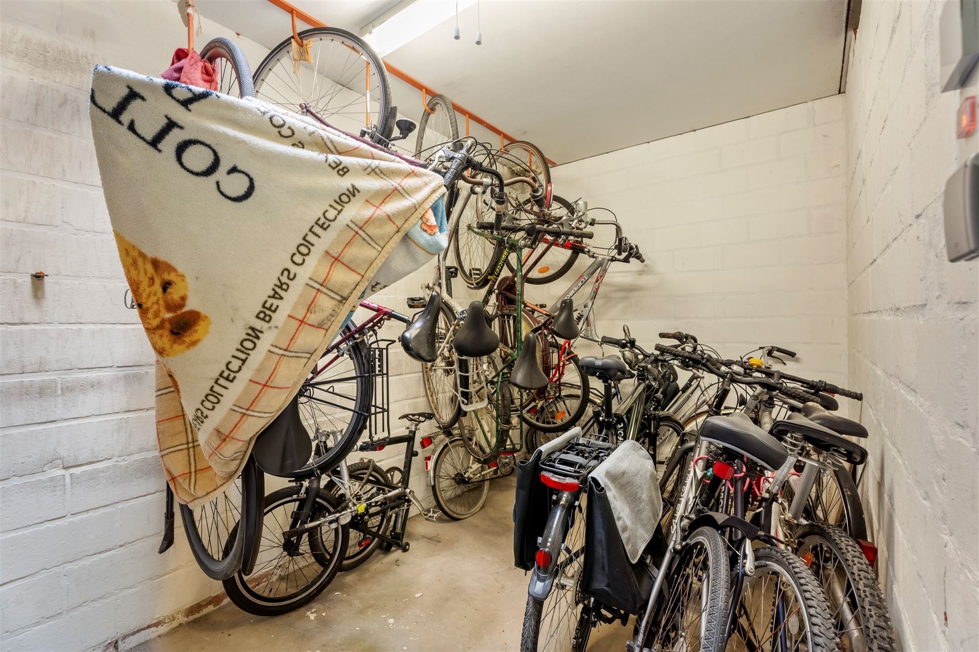 ZEEDIJK / LICHTRIJK foto 19