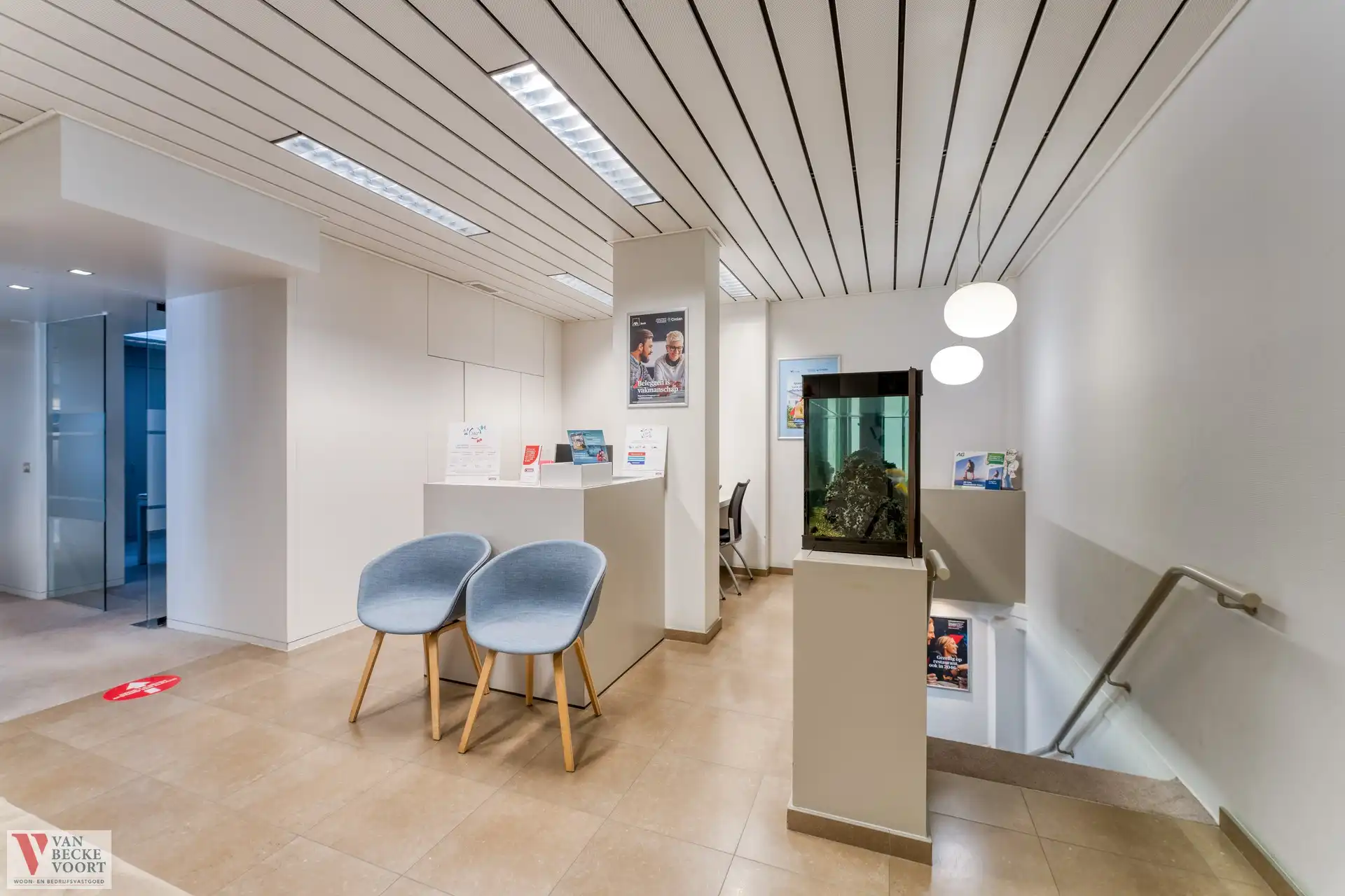 Handelsgelijkvloers 217m² + 6 autostandplaatsen foto 5