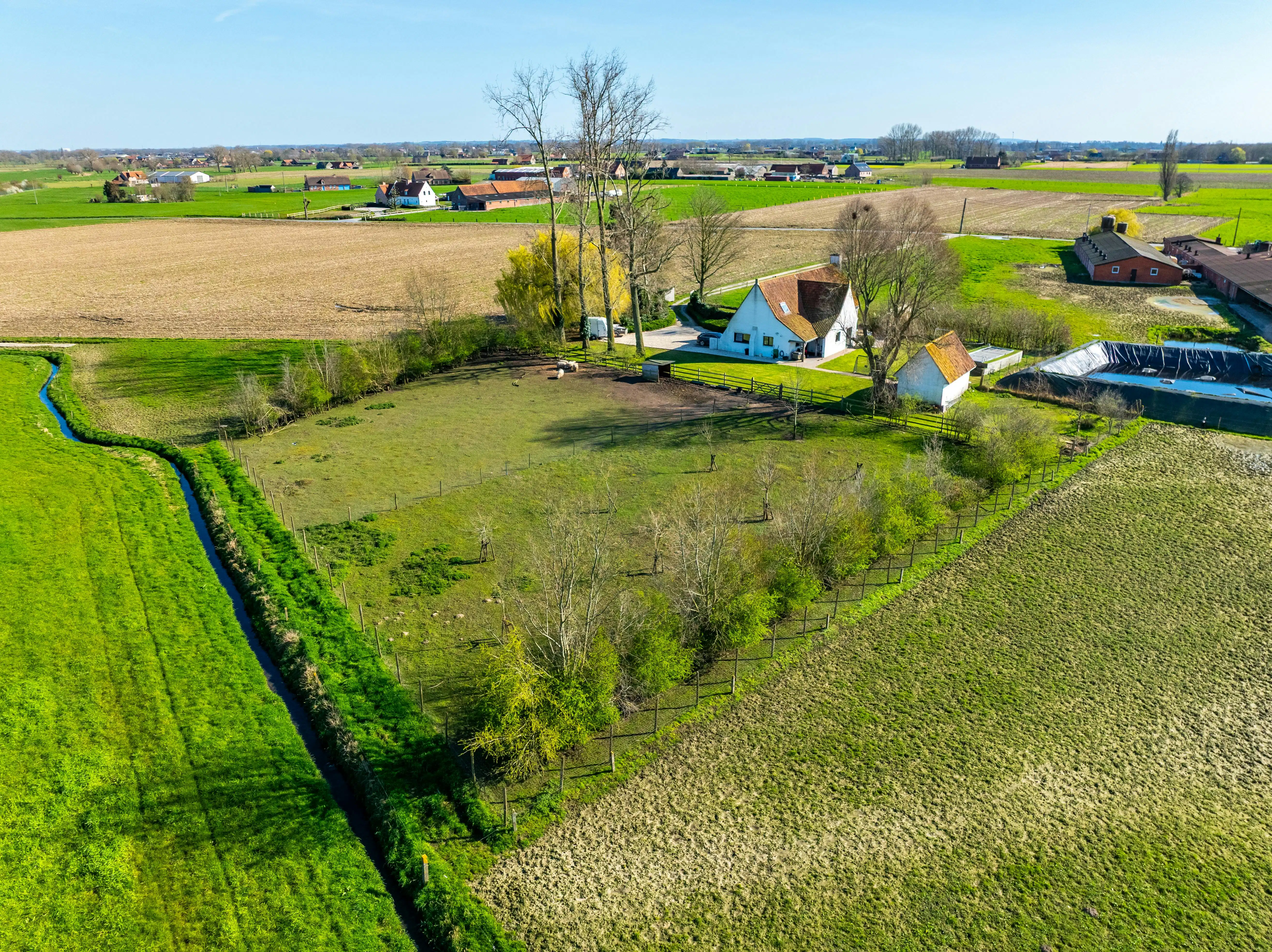 Landelijk alleenstaand huis op 4.806m² in Aarsele foto 21