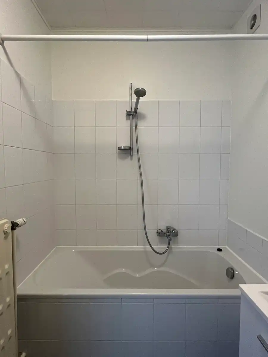 Gerenoveerd dakappartement in het centrum foto 11